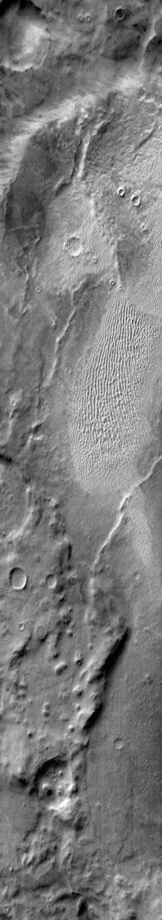 This image from NASA's Mars Odyssey shows part of a large sandsheet with dune forms in Terra Cimmeria on Mars.