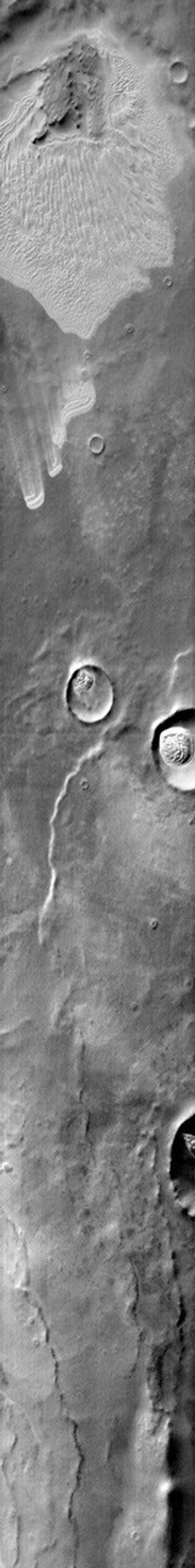 This image from NASA's Mars Odyssey shows plains and crater dune fields of Terra Cimmeria on Mars.