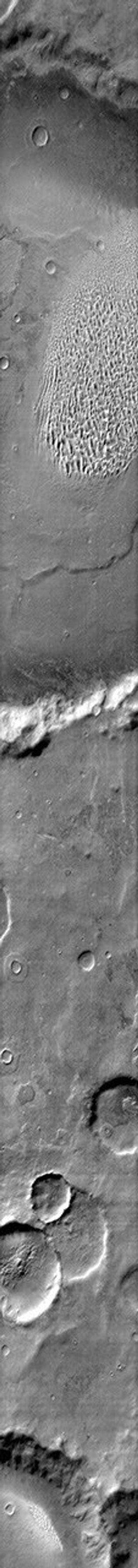 This image from NASA's Mars Odyssey shows a sand sheet with dune forms located on the floor of Proctor Crater on Mars.