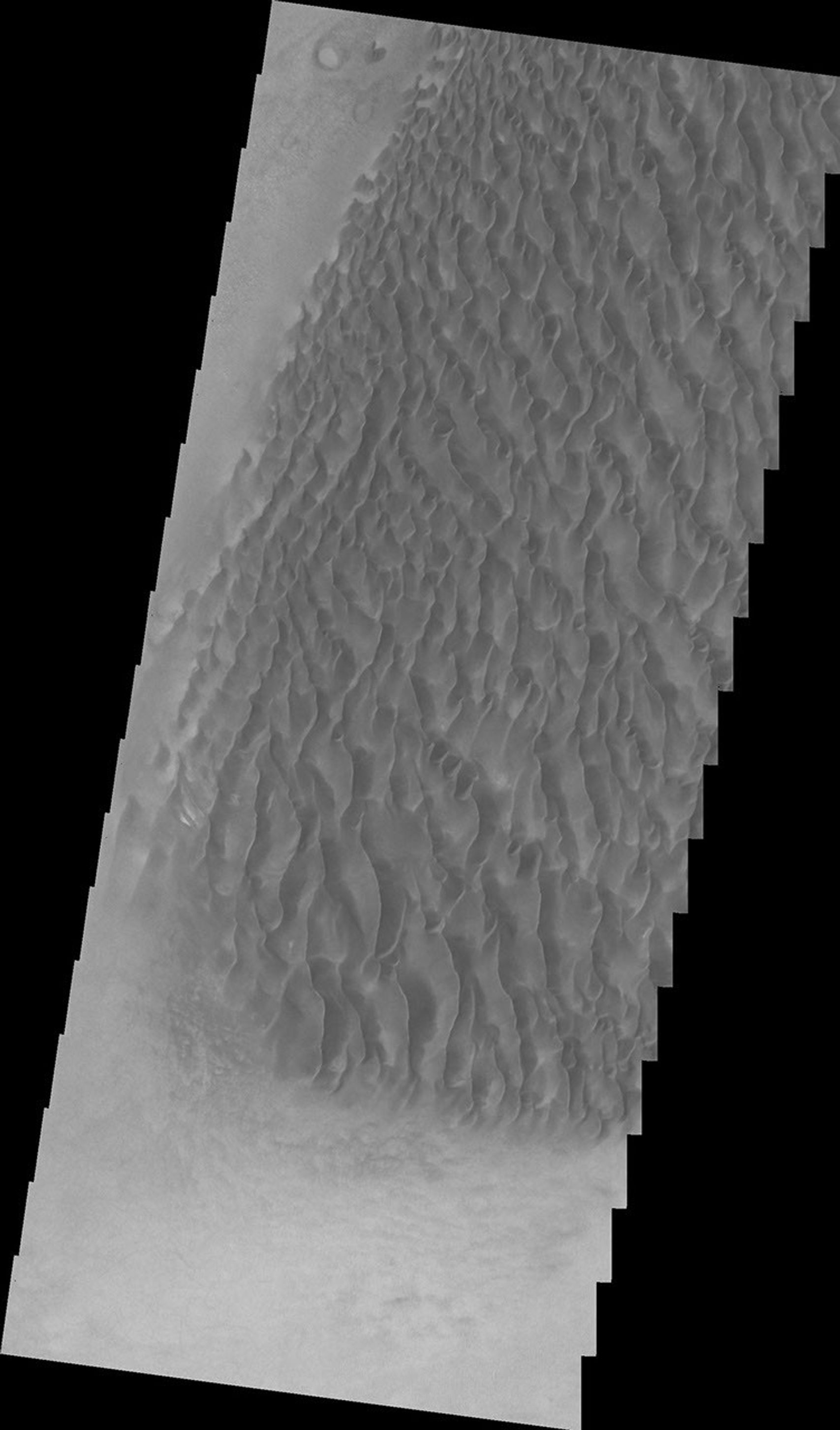 This image from NASA's Mars Odyssey shows a sand sheet with dune forms located on the floor of Proctor Crater on Mars.