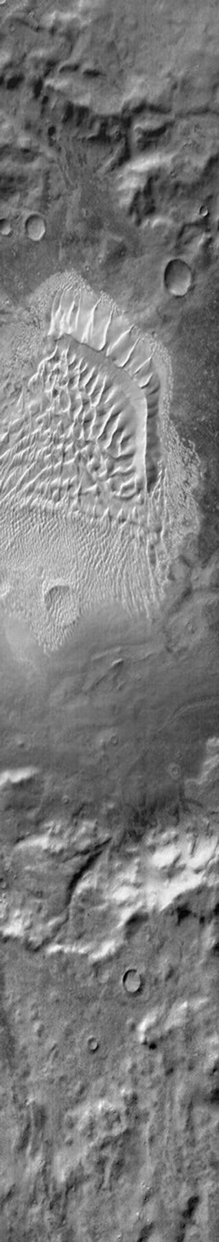 This image from NASA's Mars Odyssey shows a complex dune field located on the floor of Russell Crater on Mars. The bright tone indicates the warmth of the dunes compared to the surrounding materials.