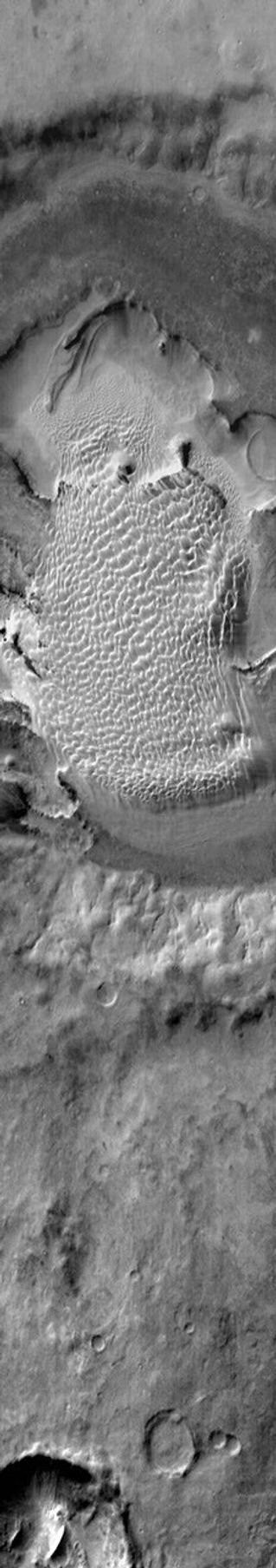 NASA's Mars Odyssey spacecraft captured this daytime infrared image of Rabe Crater shows the large dune field located within the crater on Mars.