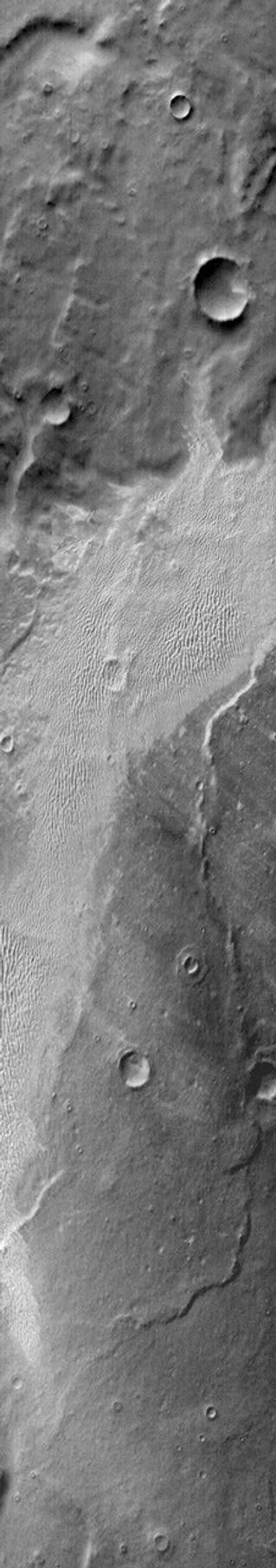 This image from NASA's Mars Odyssey shows a dune field located on the plains of Terra Cimmeria on Mars.