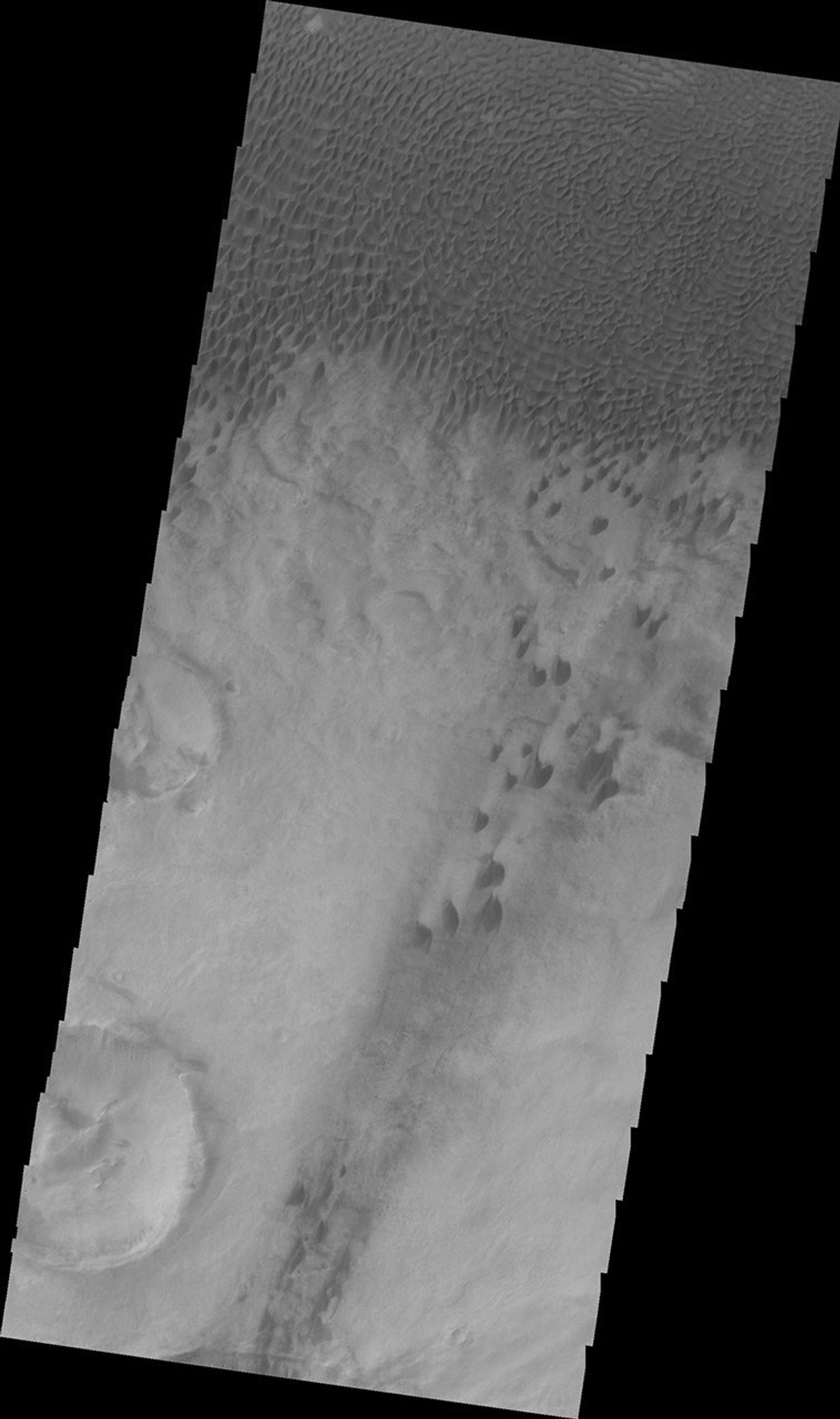 This image from NASA's Mars Odyssey shows individual dunes that are part of the large Aonia Terra dune field on Mars.