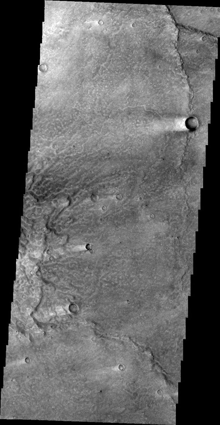 This image from NASA's Mars Odyssey shows 'tails' behind these craters in Syrtis Major that are windstreaks. Winds have removed and deposited fine material around the craters on Mars.