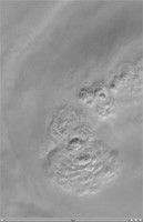 animation for PIA12349