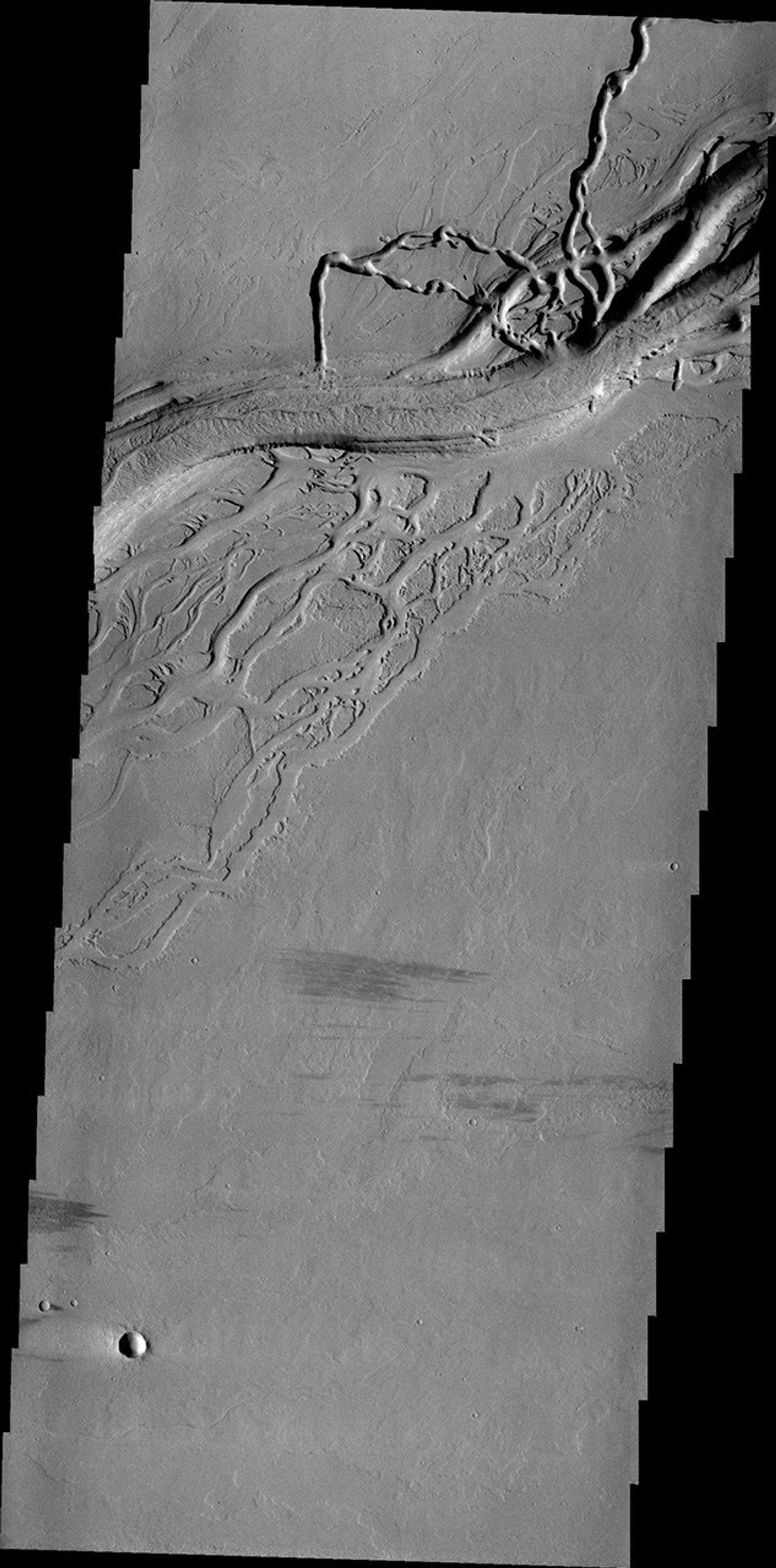 This image from NASA's 2001 Mars Odyssey shows a complex region of channels in Tharsis. Called Olympica Fossae, these channel forms were created by lava flows rather than water.