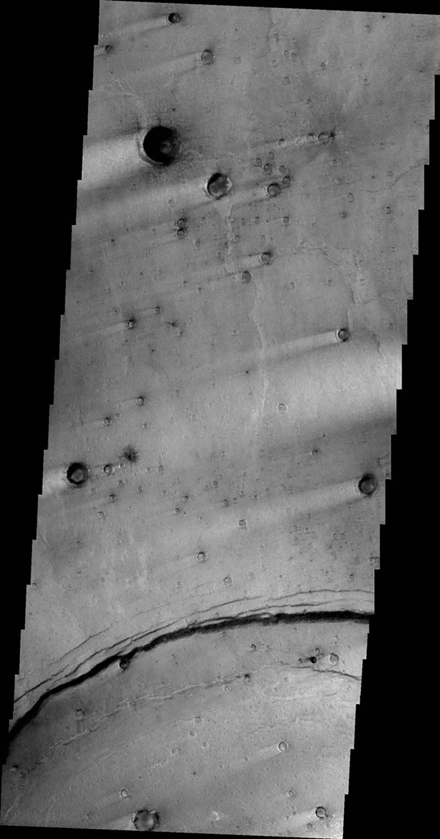 This image, taken by NASA's 2001 Mars Odyssey spacecraft, shows multiple craters with windstreak 'tails.'
