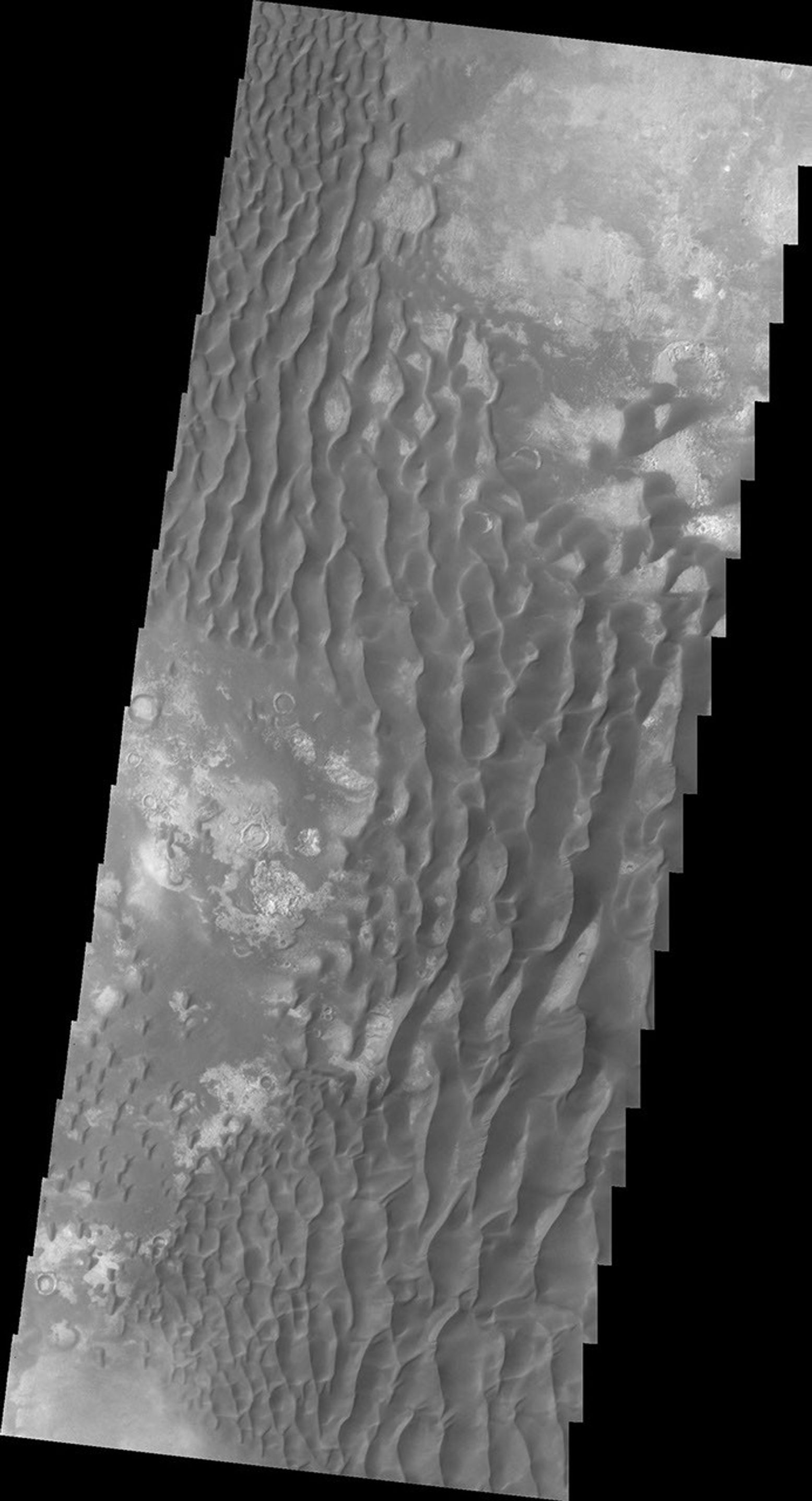 This daytime infrared image of Kaiser Crater, taken by NASA's 2001 Mars Odyssey spacecraft, shows the majority of the dune field located on the floor of the crater.