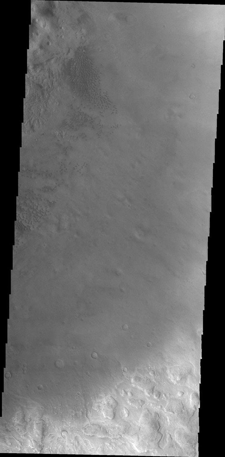 This image, taken by NASA's 2001 Mars Odyssey spacecraft, shows small individual dunes on the floor of Moreux Crater.