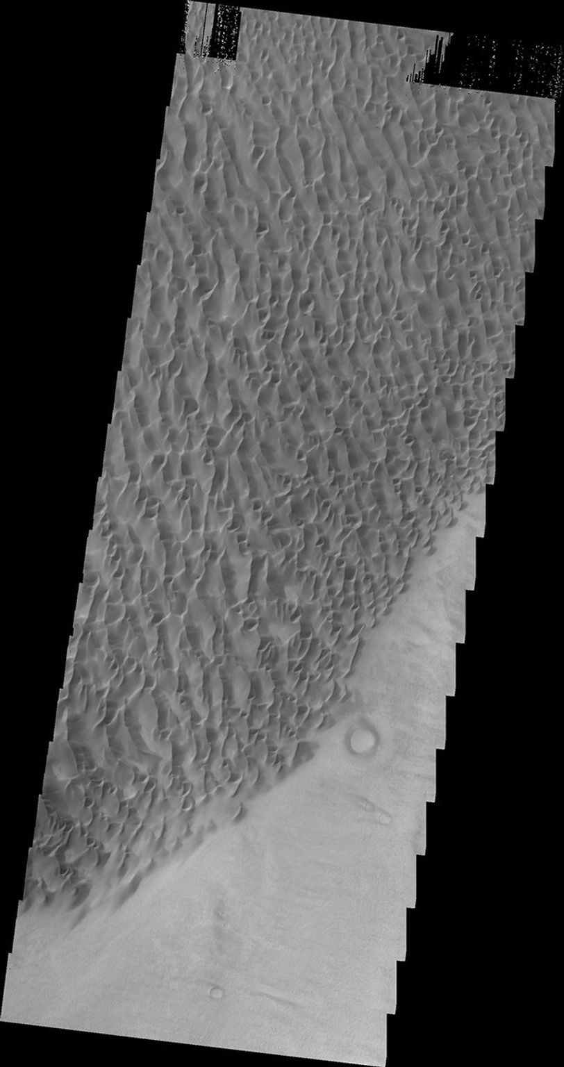 This image of the floor of Proctor Crater, taken by NASA's 2001 Mars Odyssey spacecraft, shows part of the sand sheet and dune forms that are located there.