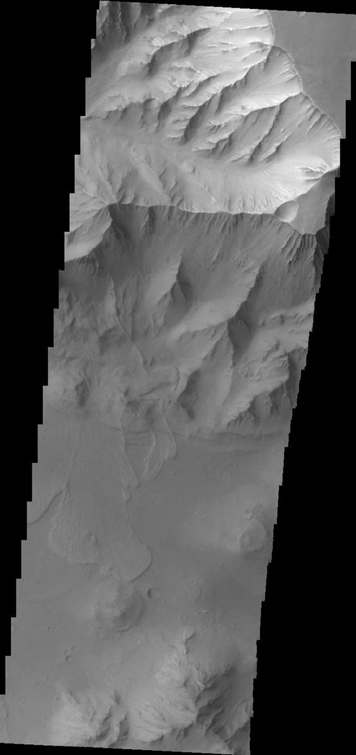 Several landslide deposits are visible in this image of Coprates Chasma taken by NASA's 2001 Mars Odyssey spacecraft.
