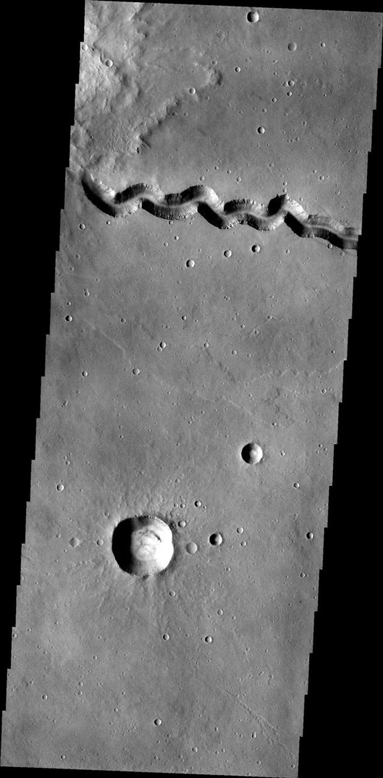 This image, taken by NASA's 2001 Mars Odyssey spacecraft, shows a portion of Patapsco Vallis, a channel located on the eastern margin of Elysium Mons.