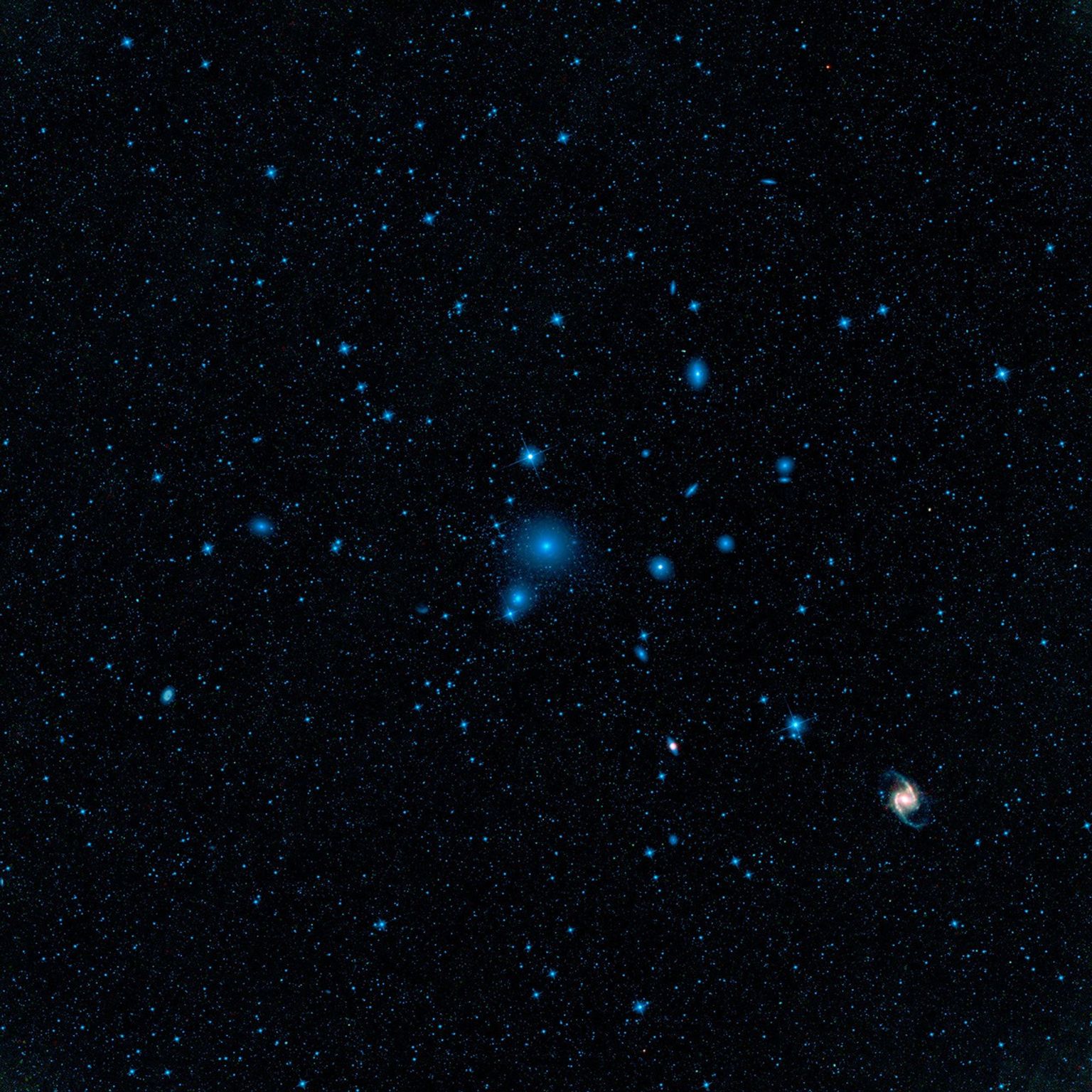 NASA's Wide-field Infrared Survey Explorer's large field of view and multi-wavelength infrared sight allowed it to form this complete view of the cluster, containing dozens of bright galaxies and hundreds of smaller ones.