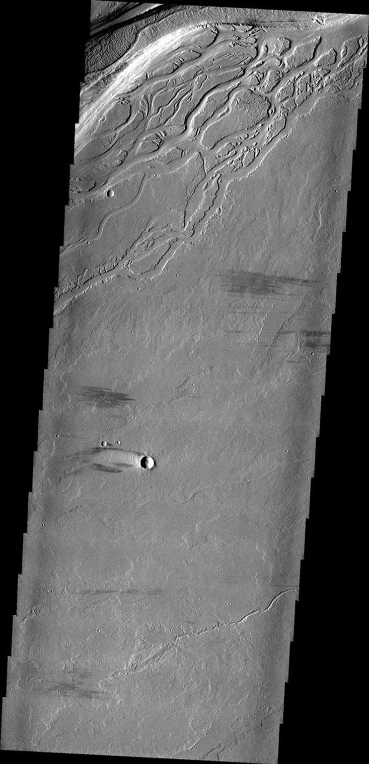 The complex region of channels at the top of this image, captured by NASA's 2001 Mars Odyssey spacecraft, are lava channels. These channels are called Olympica Fossae.