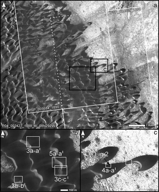 The upper portion of this map is from an observation by the Context Camera on NASA's Mars Reconnaissance Orbiter of a field of dark sand dunes in the Nili Patera region of Mars.