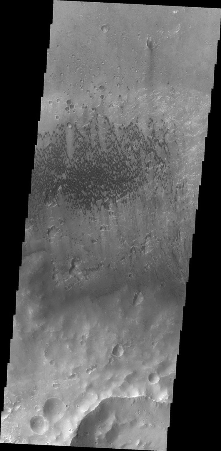 Sand dunes located on the floor of McLaughlin Crater as seen by NASA's 2001 Mars Odyssey spacecraft.