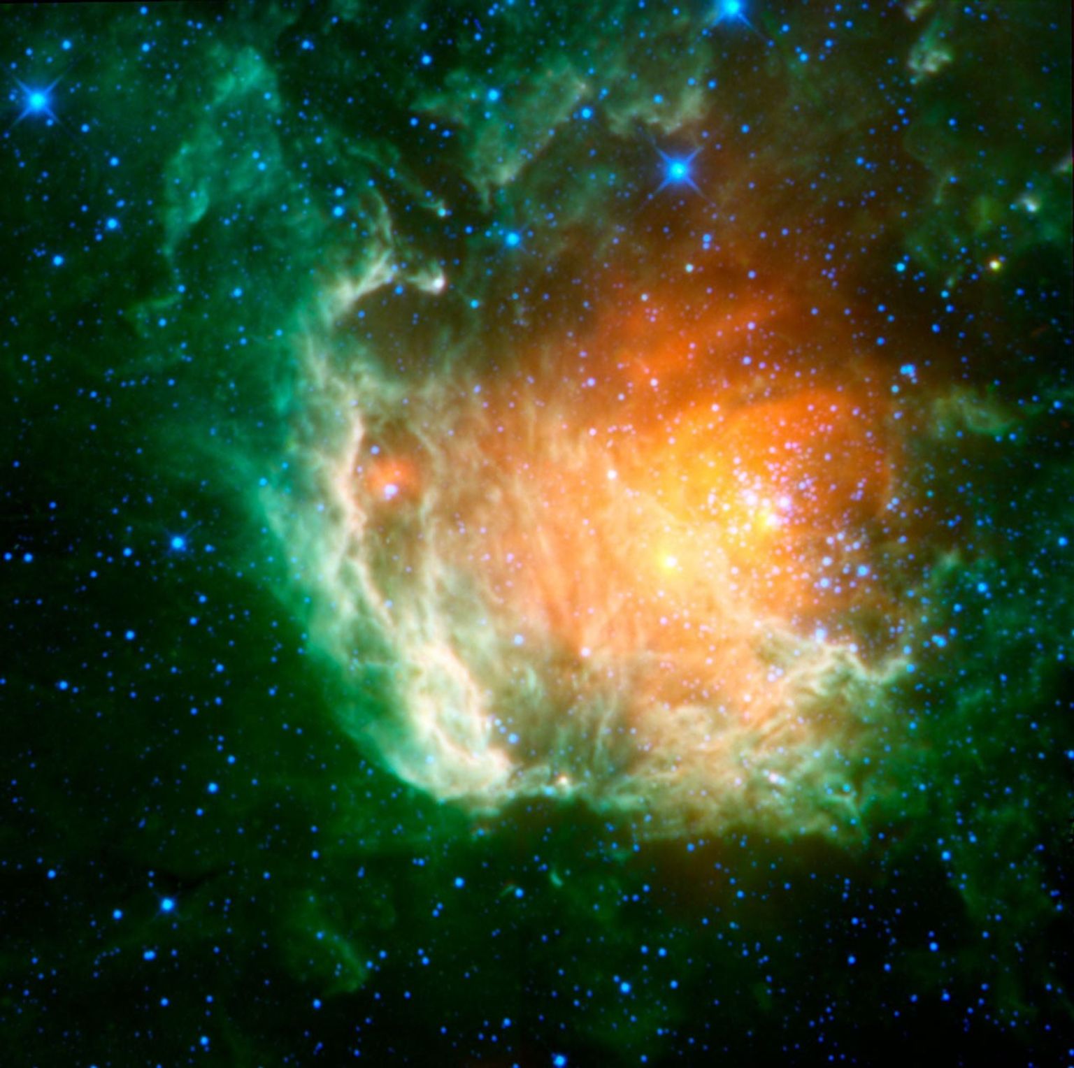 A new infrared image from NASA's Wide-field Infrared Survey Explorer shows a cosmic rosebud blossoming with new stars.