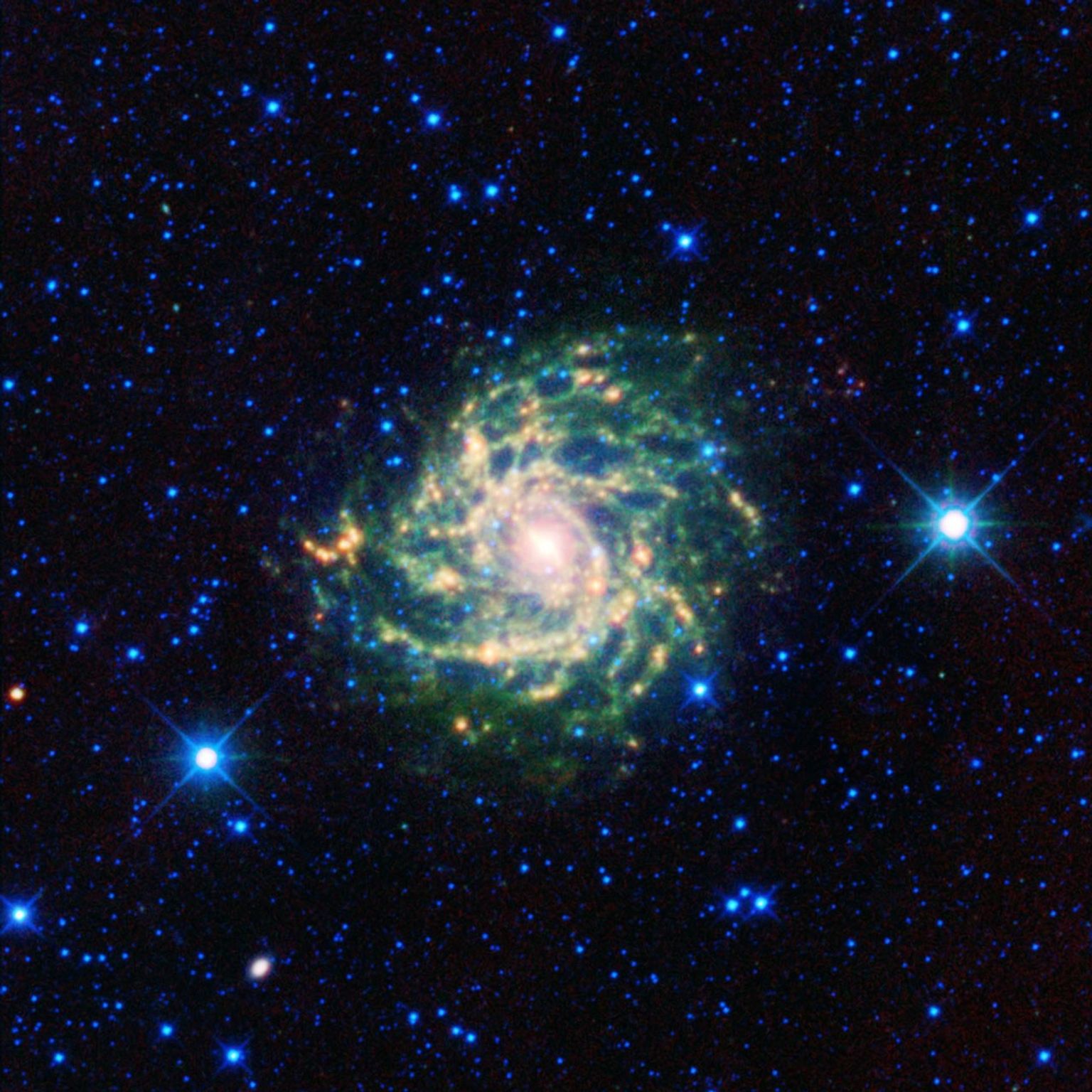 A leggy cosmic creature comes out of hiding in this new infrared view from NASA's Wide-field Infrared Survey Explorer. The spiral beauty, called IC 342 and sometimes the 'hidden galaxy,' is shrouded behind our own galaxy, the Milky Way.