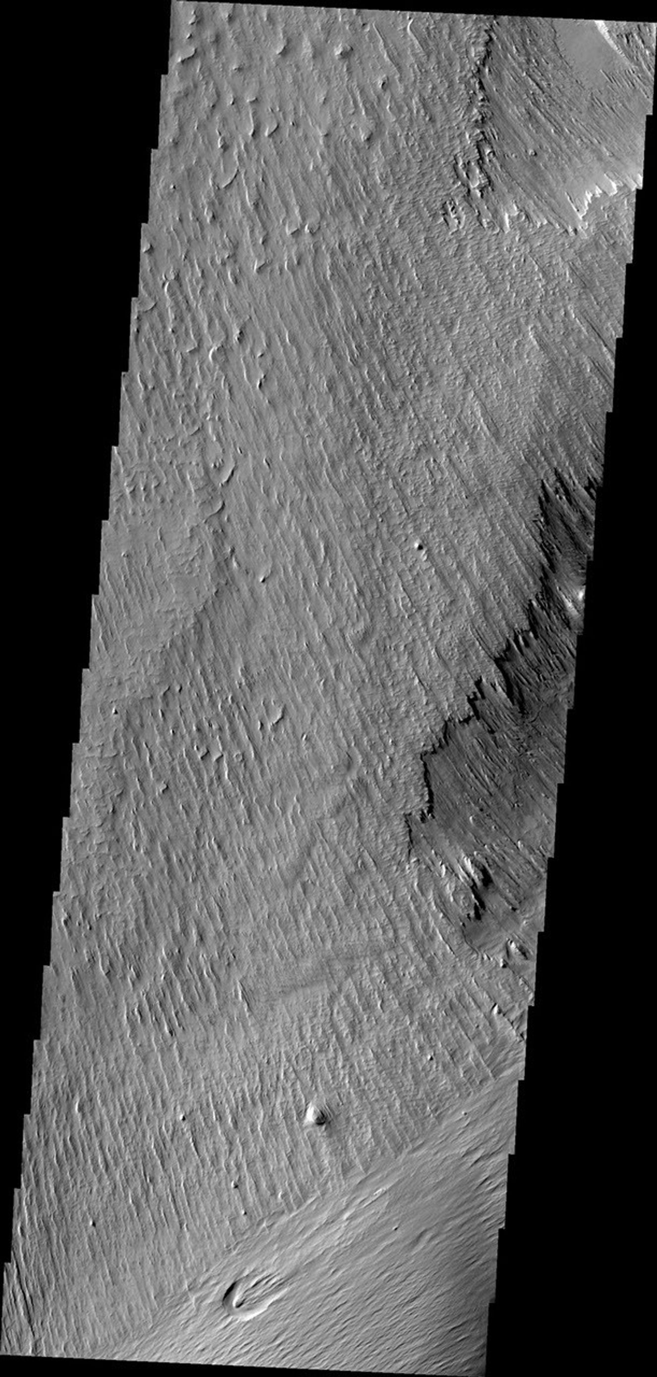 Wind is one of a handful of active processes on Mars today. This image taken by NASA's 2001 Mars Odyssey of Memnonia Sulci demonstrates the power of wind in eroding and shaping the surface.