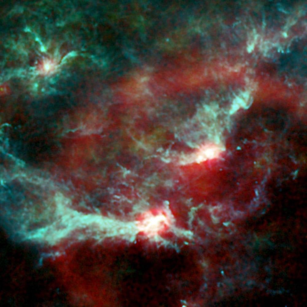 Planck's View of Orion - NASA Science
