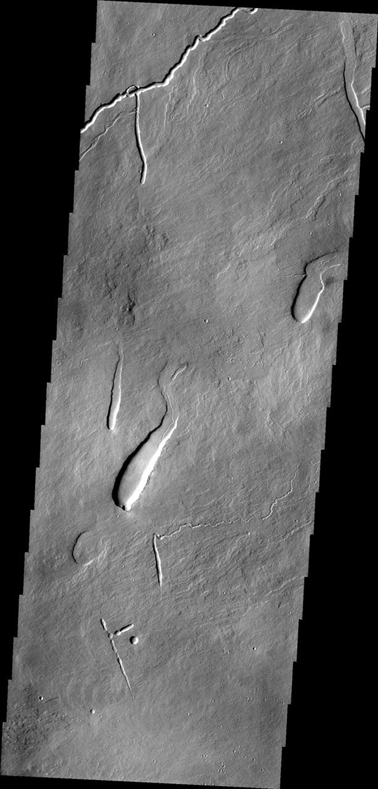 This image from NASA's 2001 Mars Odyssey shows part of the northeastern flank of Ascraeus Mons, one of the large Tharsis volcanoes. The channels were carved by lava, not by water.