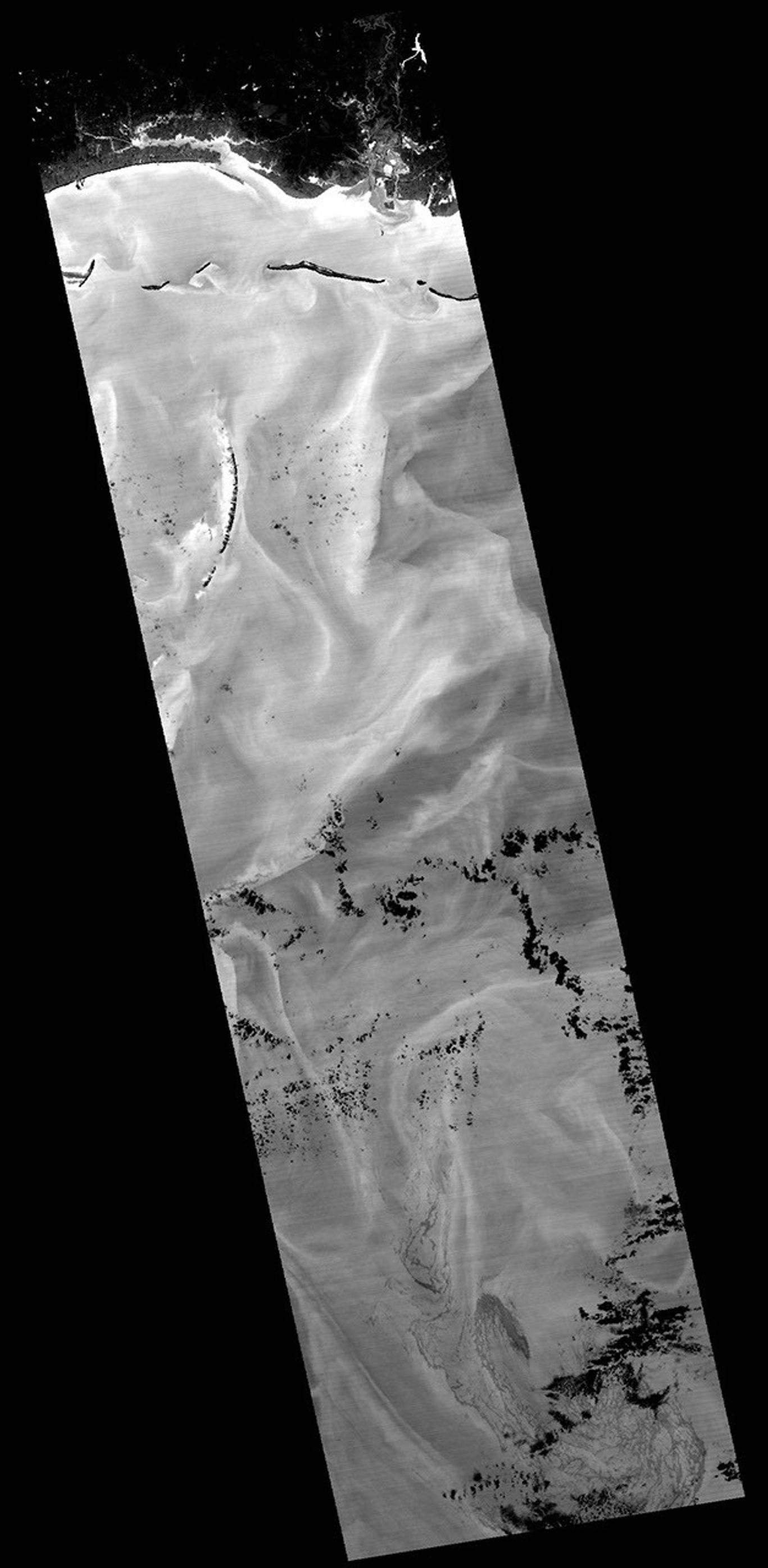 NASA's Terra spacecraft captured this image of the growing oil spill in the Gulf of Mexico on May 7, 2010. The thickest parts of the oil spill appear as dark grey, filamentous masses in the southern part of the image, extending off of the bottom.