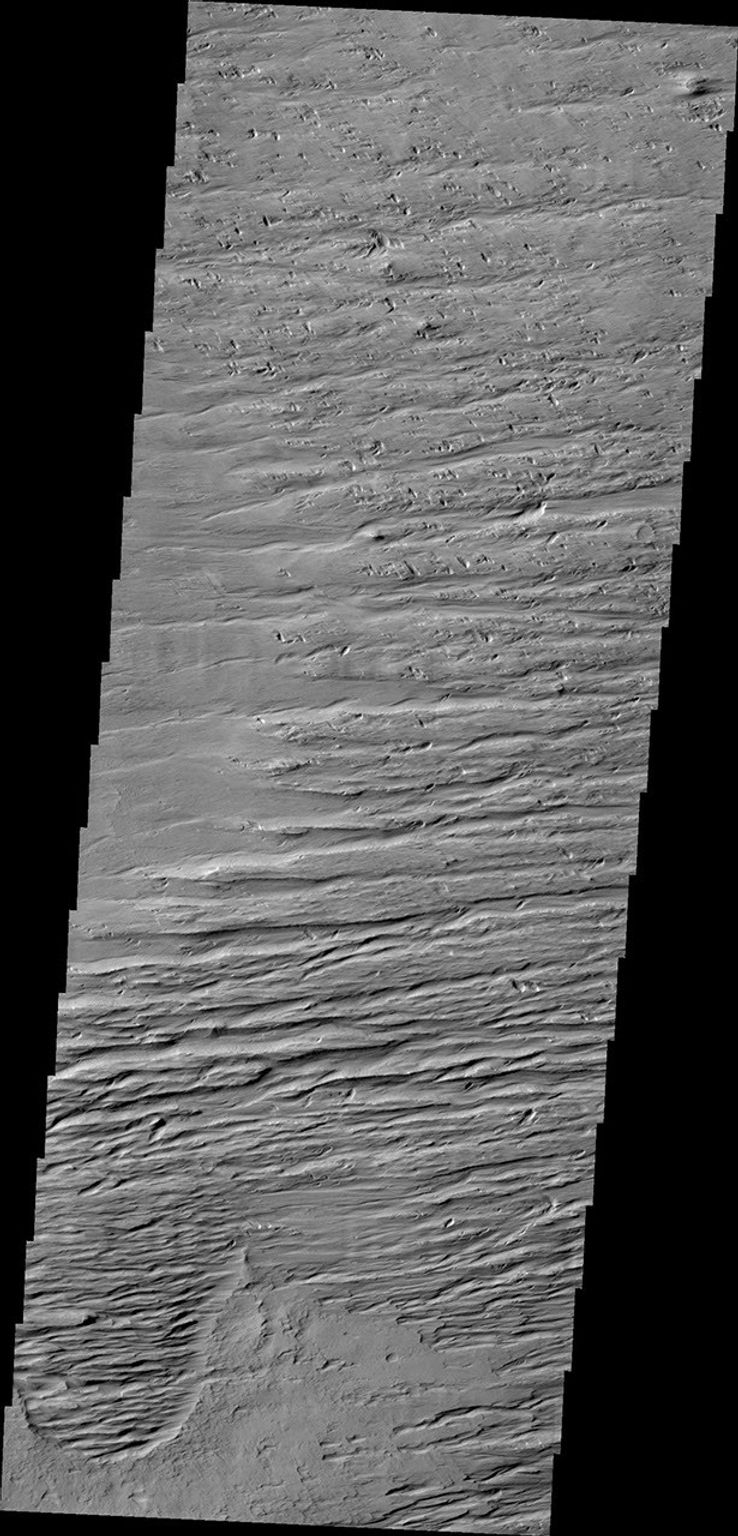 This image from NASA's 2001 Mars Odyssey is located south of Olympus Mons and east of Gordii Dorsum, in a heavily wind eroded region. The winds are predominately east/west in this area.