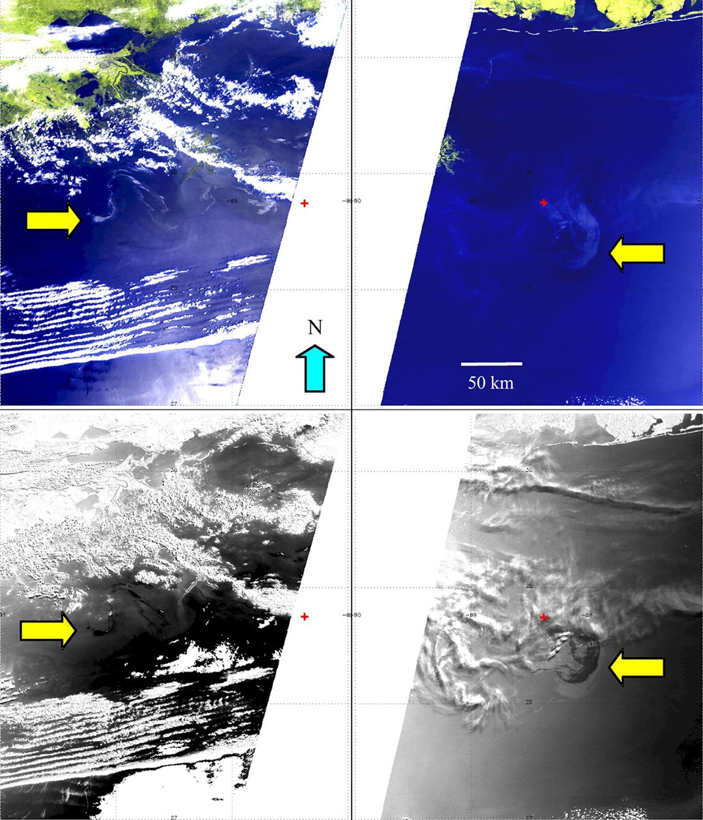 This image captured by NASA's Terra spacecraft is an enhanced 'true color' image of the Gulf of Mexico as it passed over the Deepwater Horizon oil slick on May 10, 2010.