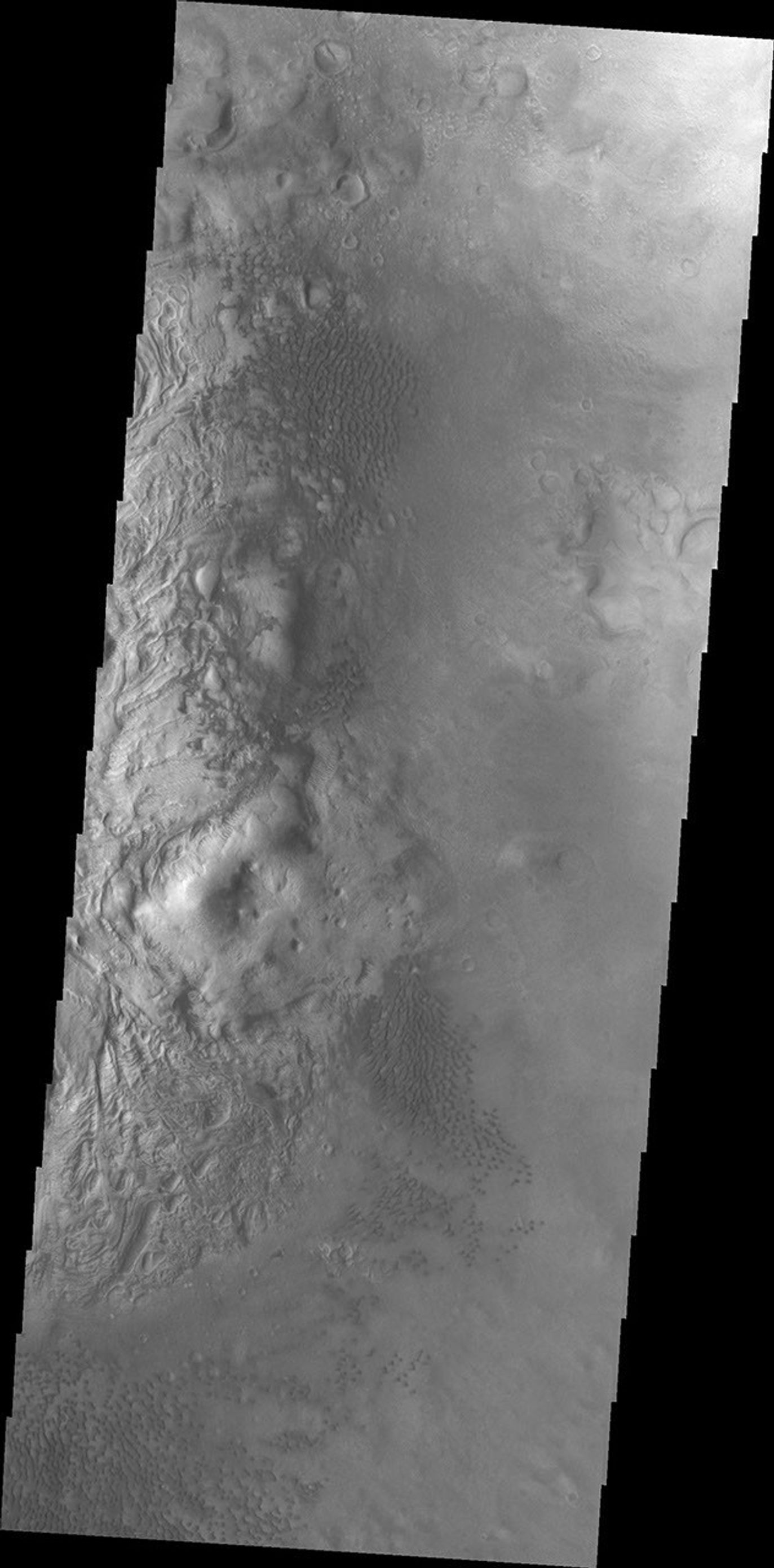 This image from NASA's 2001 Mars Odyssey highlights individual dunes located on the floor of Moreaux Crater.