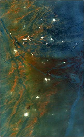 This image from NASA's Airborne Visible/Infrared Imaging Spectrometer instrument (AVIRIS) was collected on May 17, 2010, over the site of the Deepwater Horizon BP oil spill disaster. In the image, crude oil on the surface appears orange to brown.