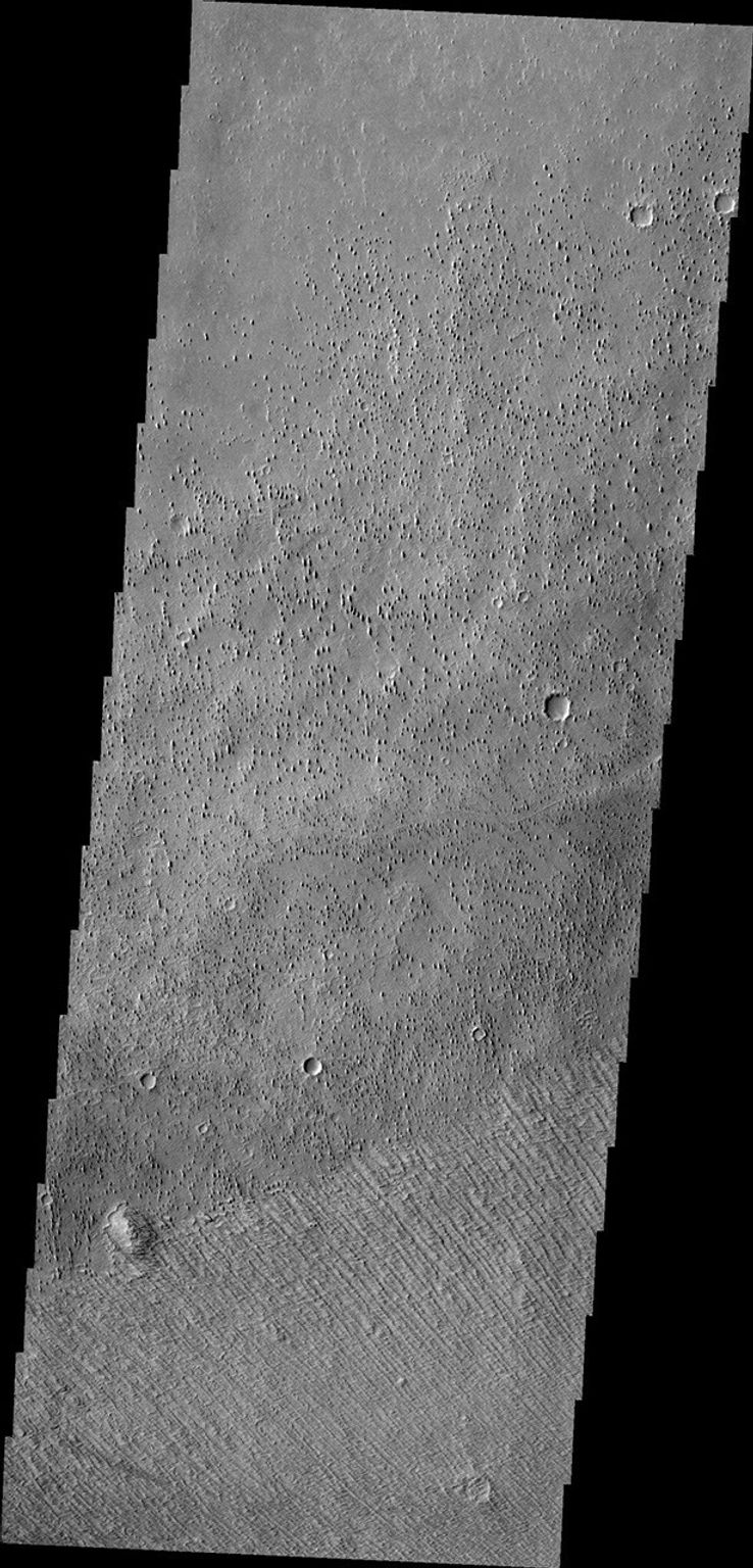 Located on the margin of Zephyria Planum, this image from NASA's 2001 Mars Odyssey shows the effect the wind has had on the surface of Mars. Loose materials have been removed and semi-consolidated materials have been eroded into narrow hill forms.