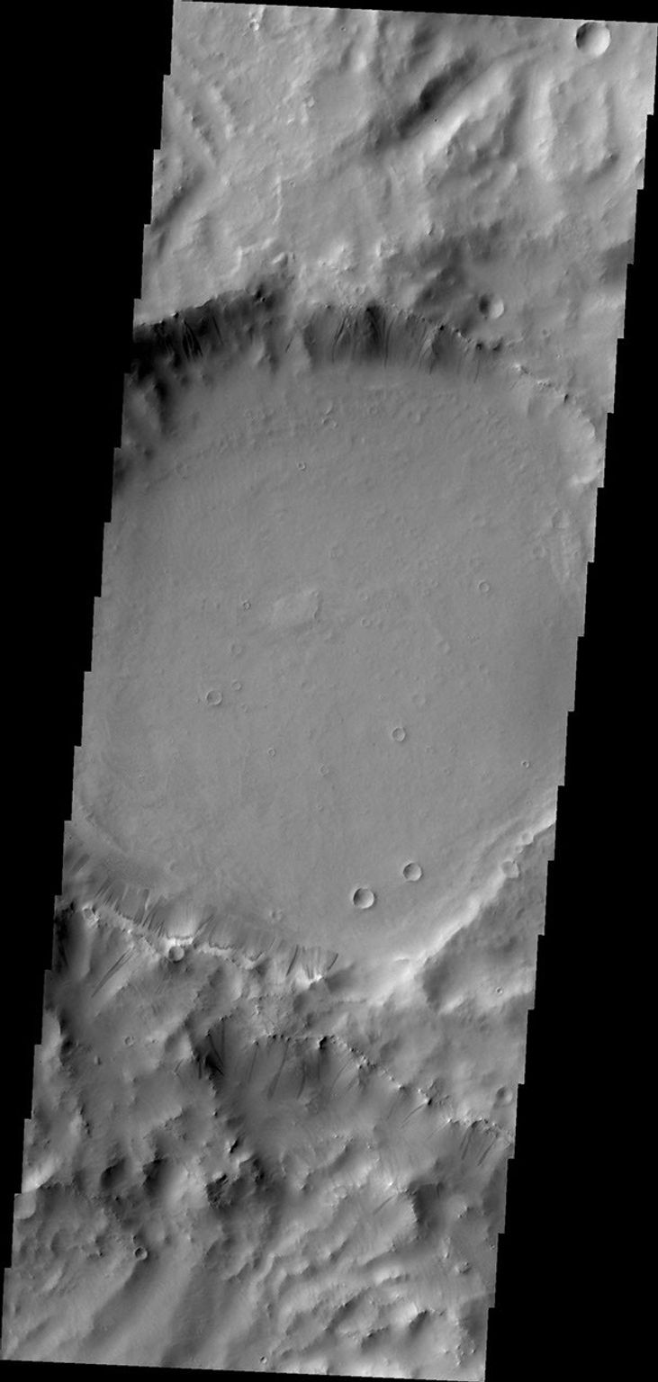 Gravity has caused materials to move down the rim of this crater in Terra Sabaea. In this image from NASA's 2001 Mars Odyssey, thinner dark slope streaks are less common than broader, lighter markings of downslope movement of materials.