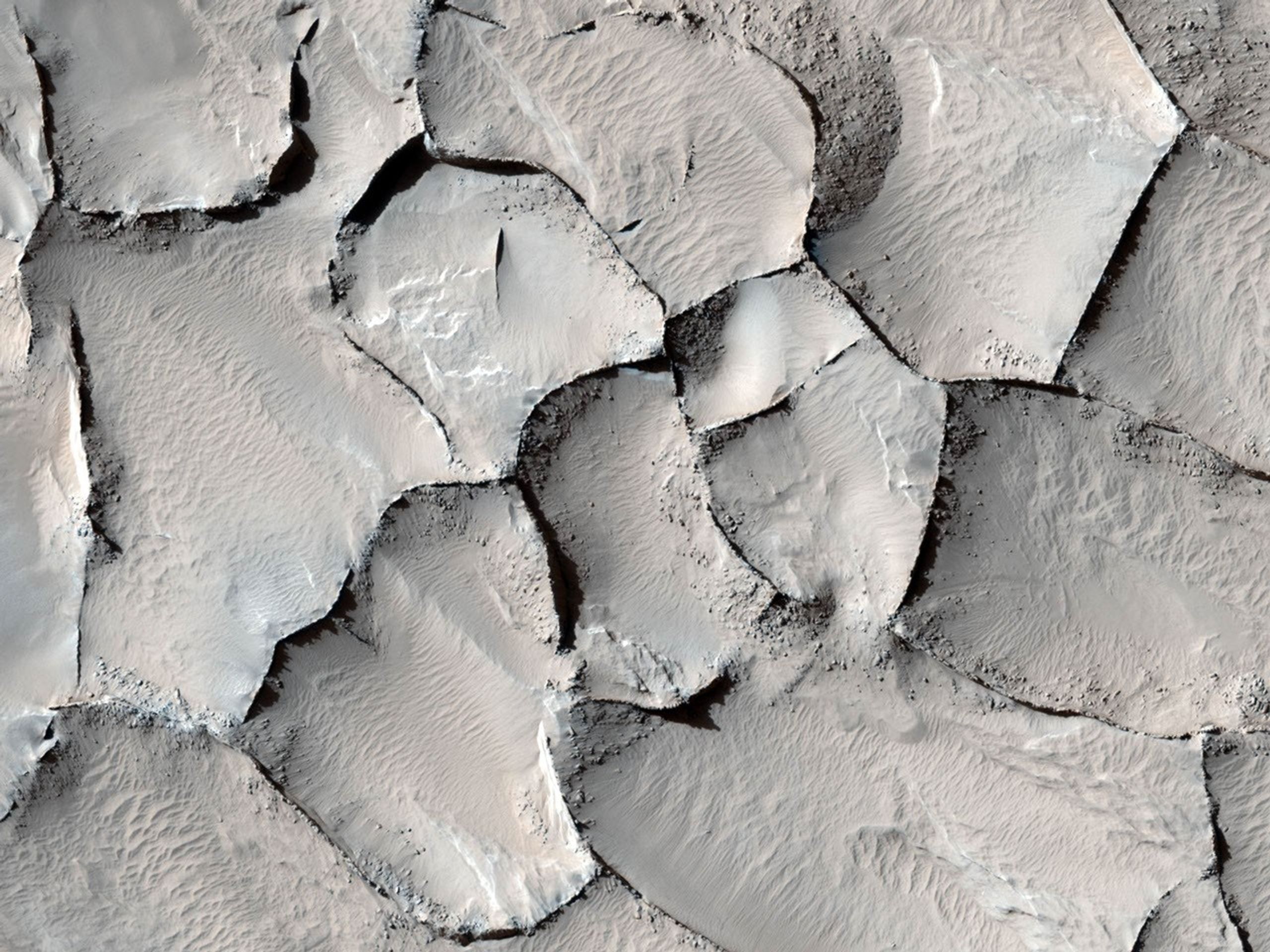 This image captured by NASA's Mars Reconnaissance Orbiter from the Gordii Dorsum region of Mars shows a large area covered with polygonal ridges in an almost geometric pattern.