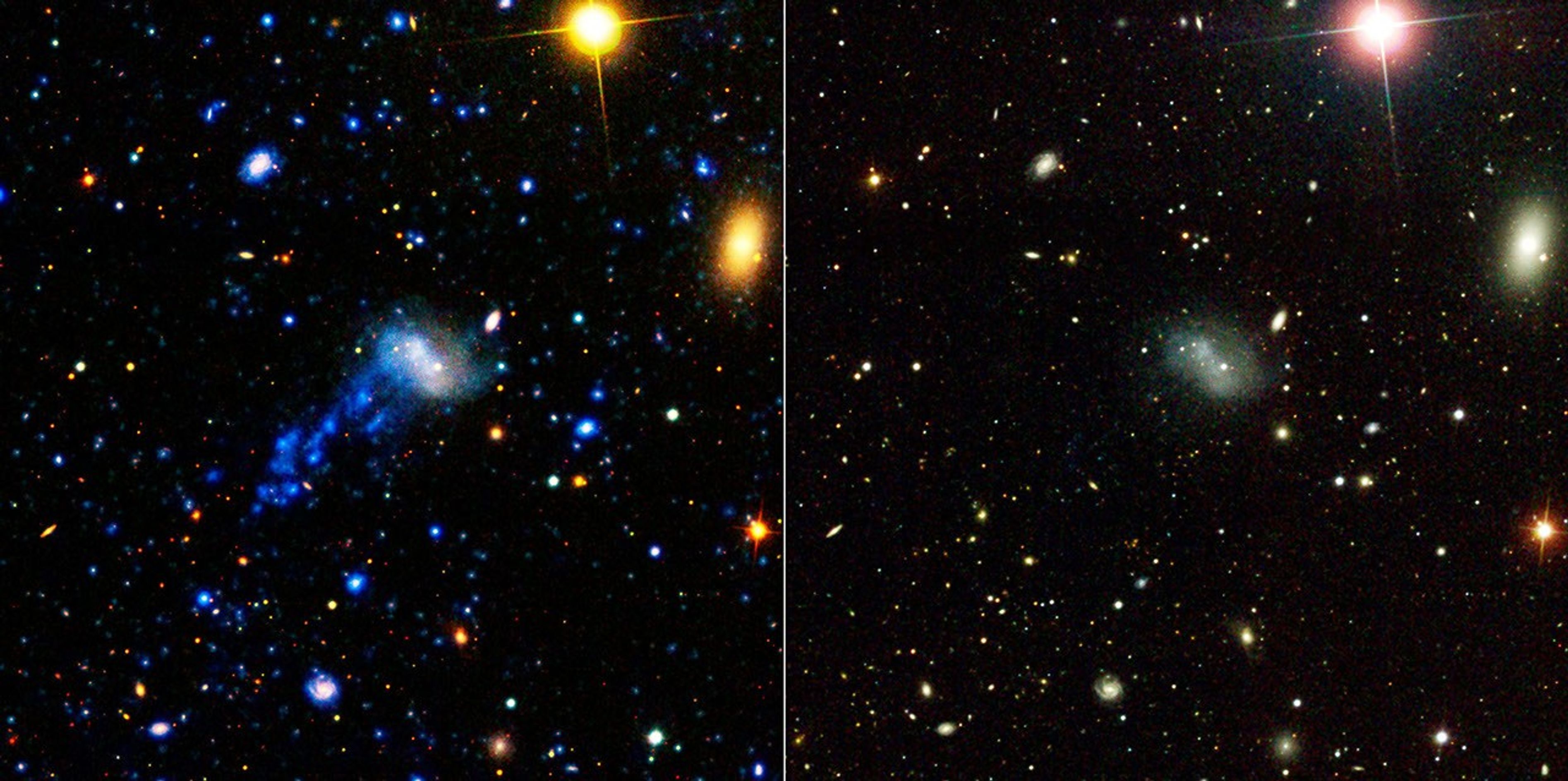 NASA's Galaxy Evolution Explorer found a tail behind a galaxy called IC 3418. This star-studded tail was created as the galaxy plunged into gas in a family of galaxies known as the Virgo cluster.