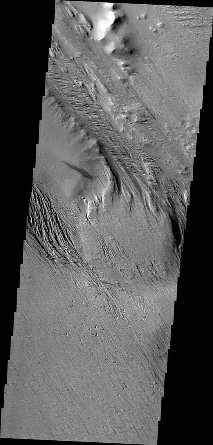 NASA's 2001 Mars Odyssey captured this region of Mars which has been eroded by the wind. Linear hills called yardangs indicate the wind direction, which varies in this area of Medusae Fossae.
