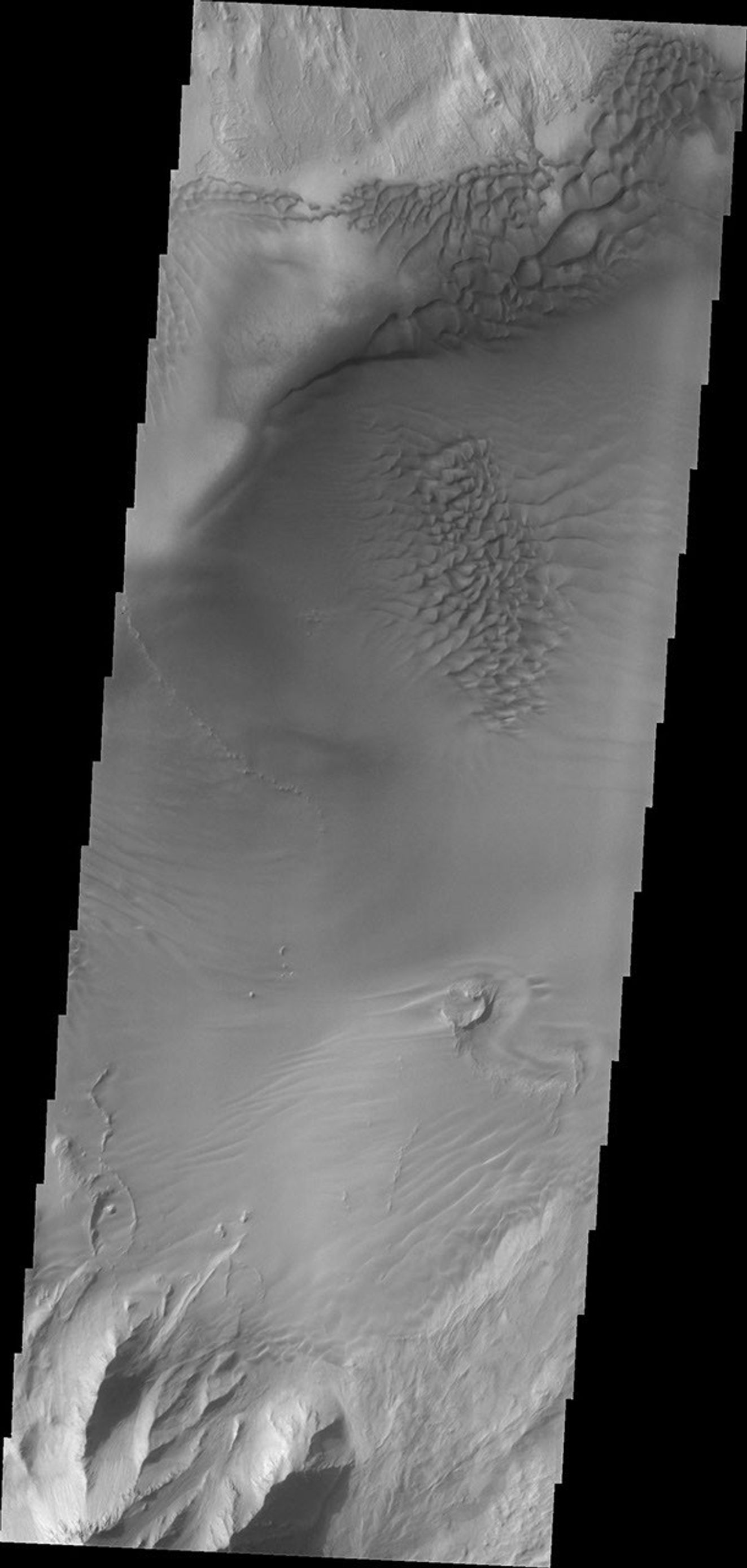This image captured by NASA's 2001 Mars Odyssey shows dunes on the floor of Juventae Chasma.