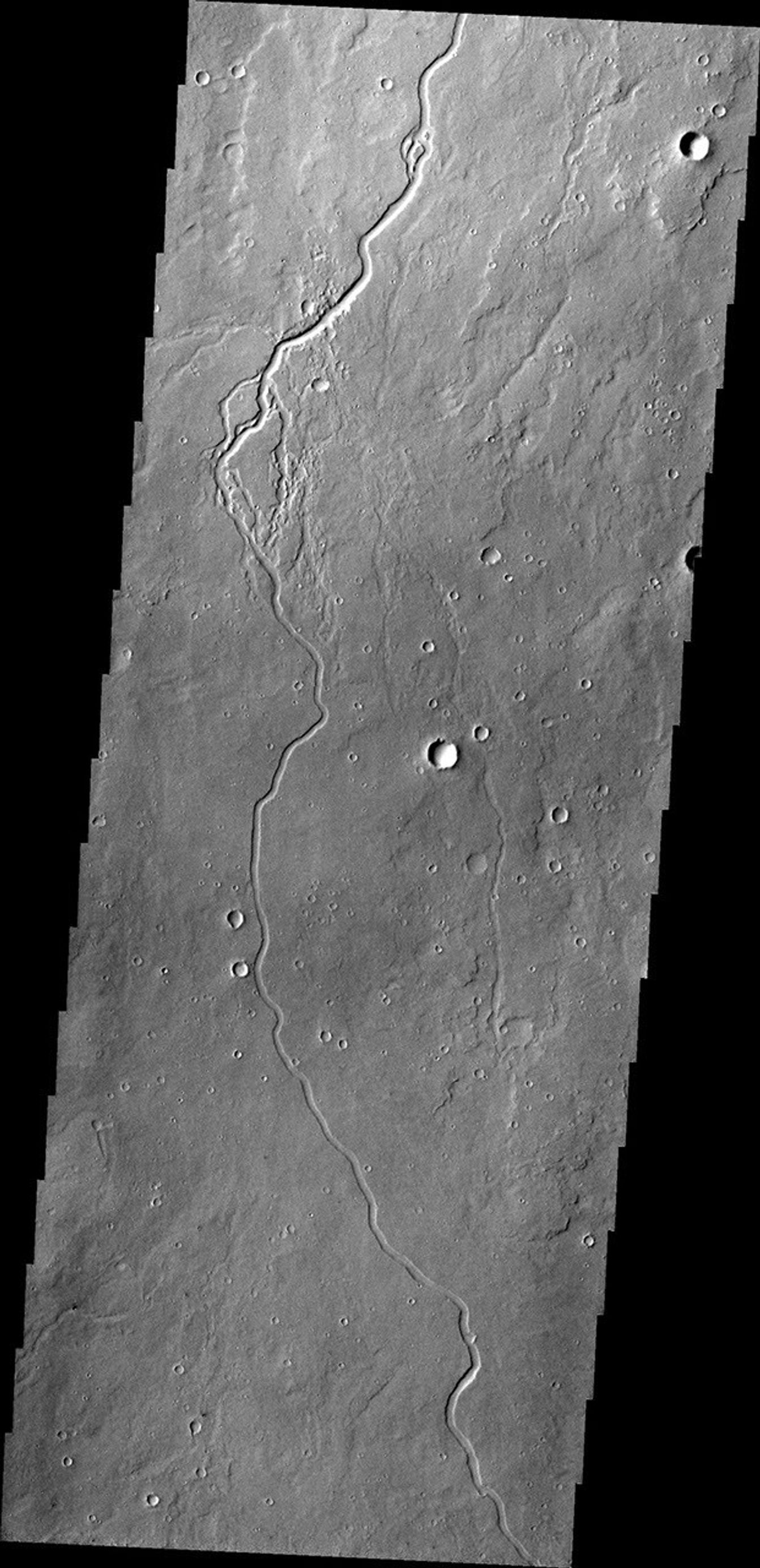 This image captured by NASA's 2001 Mars Odyssey shows just one of many lava channels located on the Elysium Mons volcanic complex.