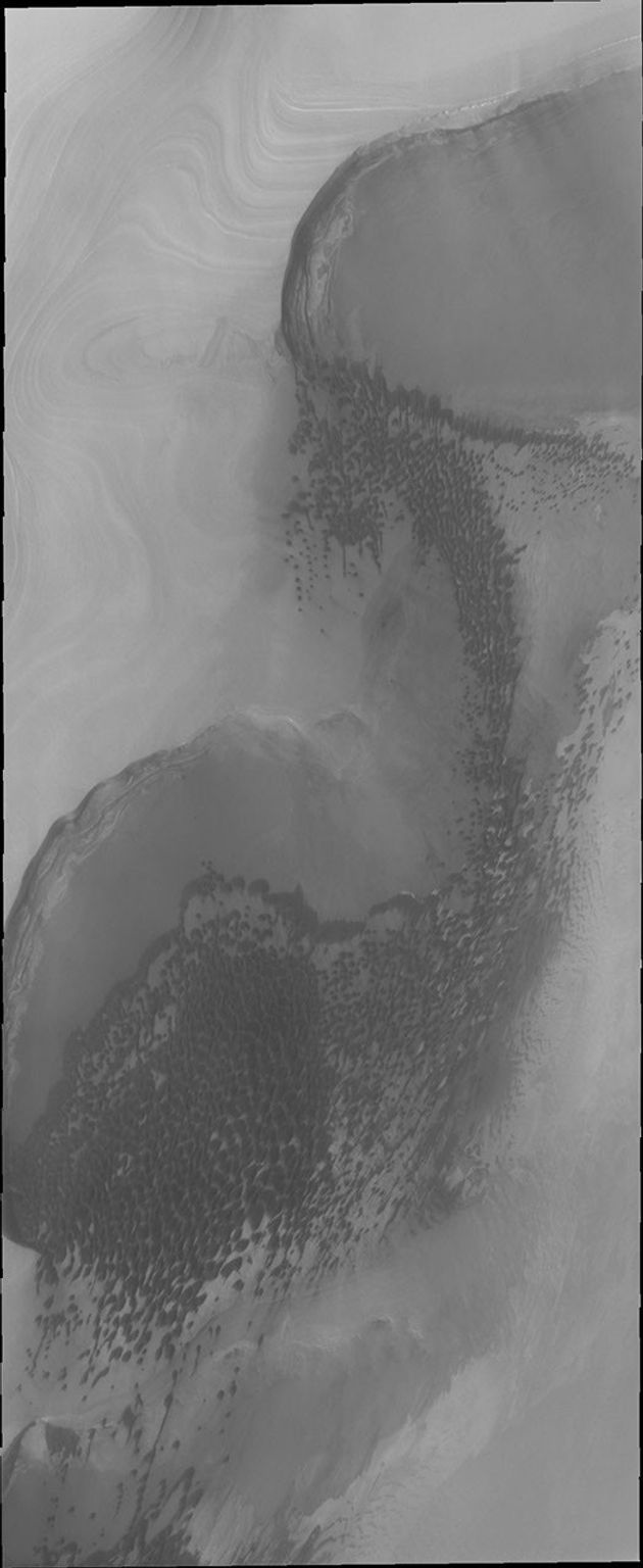 Sand dunes form large fields, called ergs, around the north polar cap of Mars. This image taken by NASA's Mars Odyssey shows a region of dunes at the cap margin.