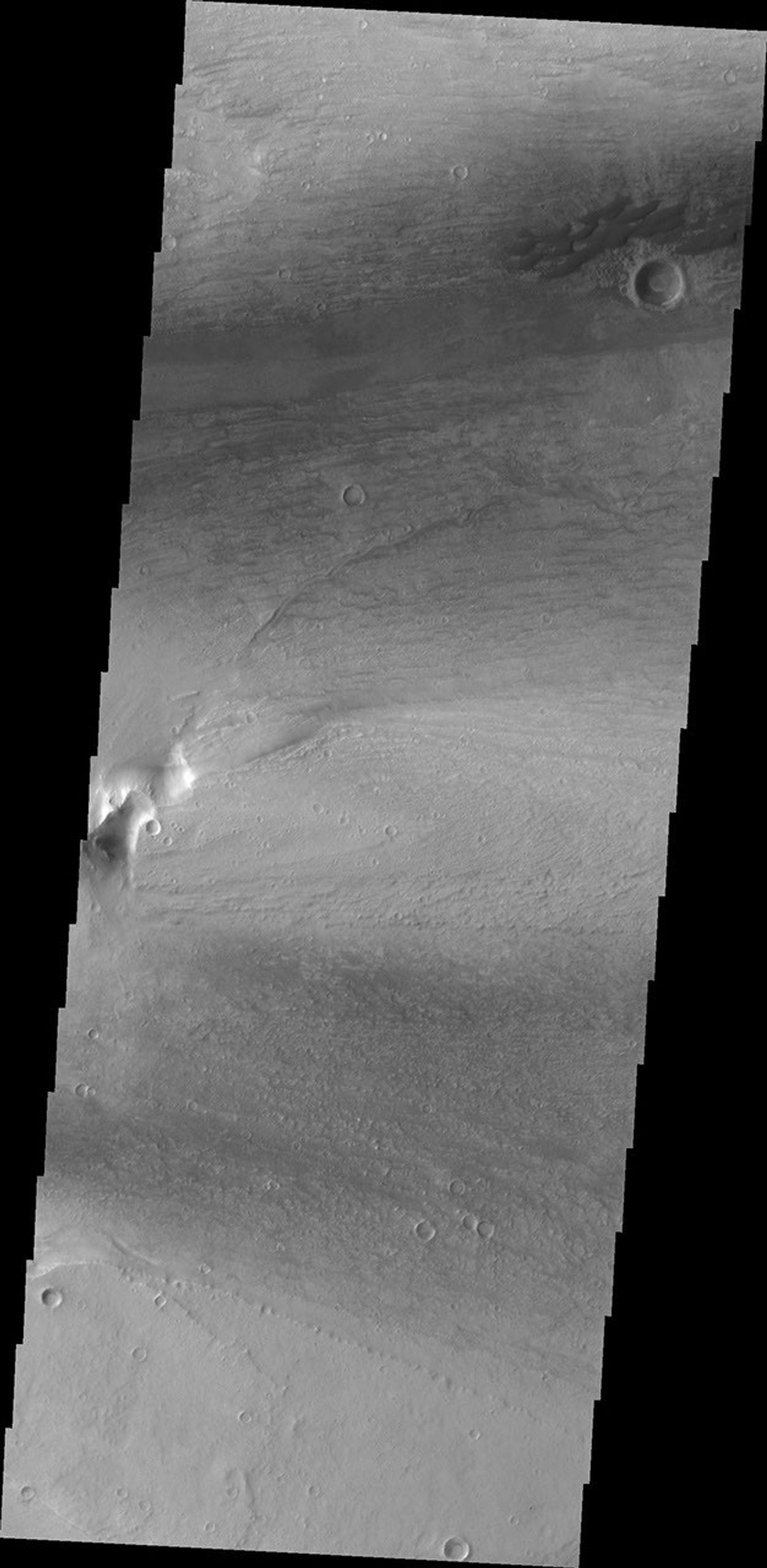 This small group of dunes in located within Kasei Valles. This image from NASA's Mars Odyssey was captured on June 16, 2010.