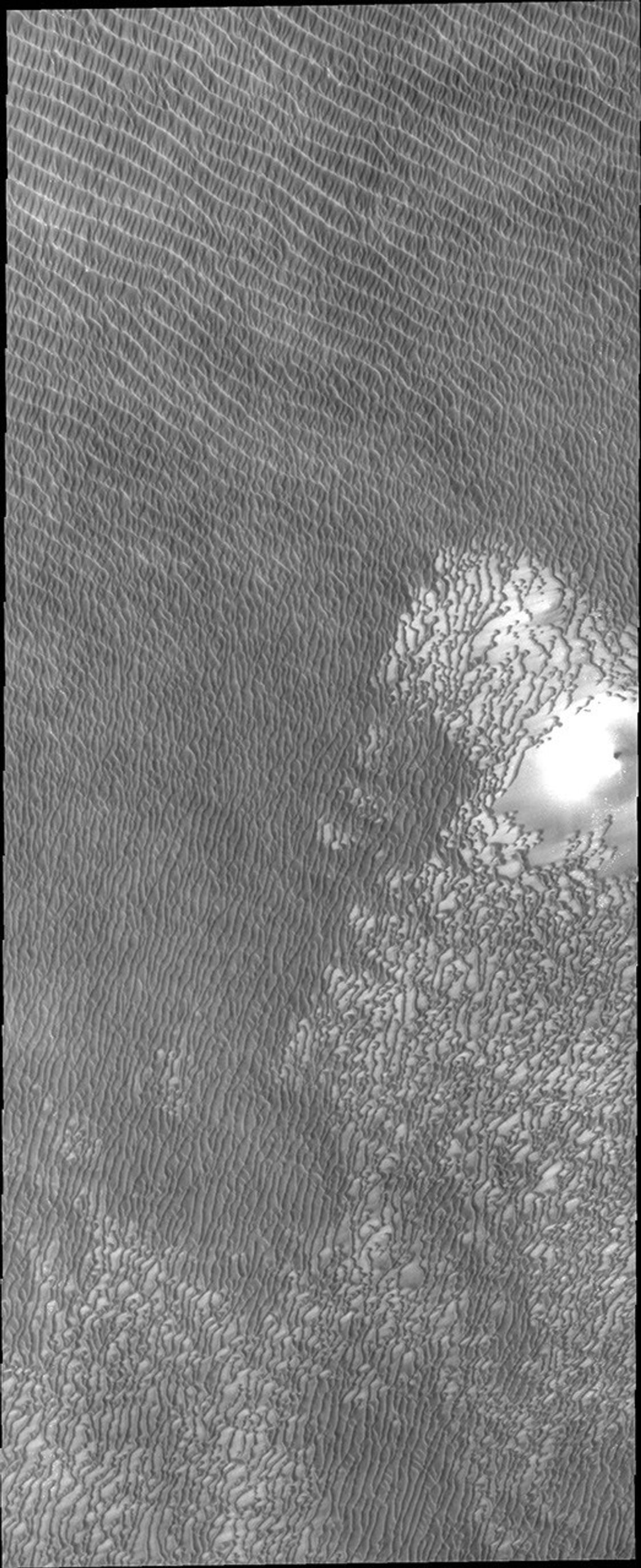 This image from NASA's Mars Odyssey show regions of densely coalesced dunes, common around the North Polar cap of Mars.