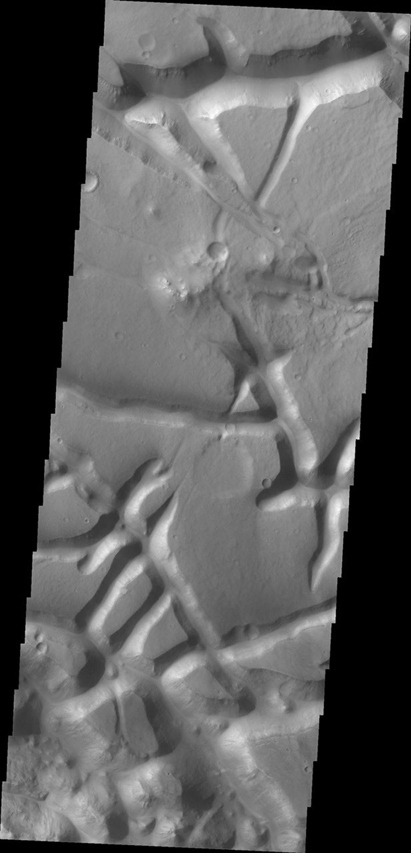 The tectonic fractures in this image captured by NASA's Mars Odyssey on July 8, 2010 are part of Aram Chaos.