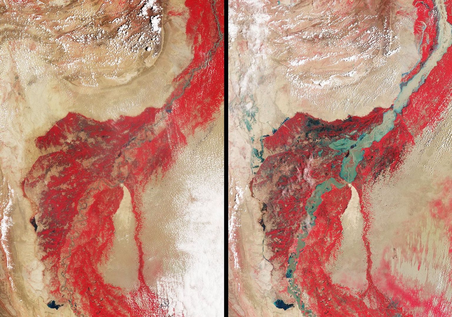 In late July 2010, flooding caused by heavy monsoon rains began in several regions of Pakistan, including the Khyber Pakhtunkhwa, Sindh, Punjab and parts of Baluchistan. This image was acquired by NASA's Terra spacecraft on August 11, 2010.