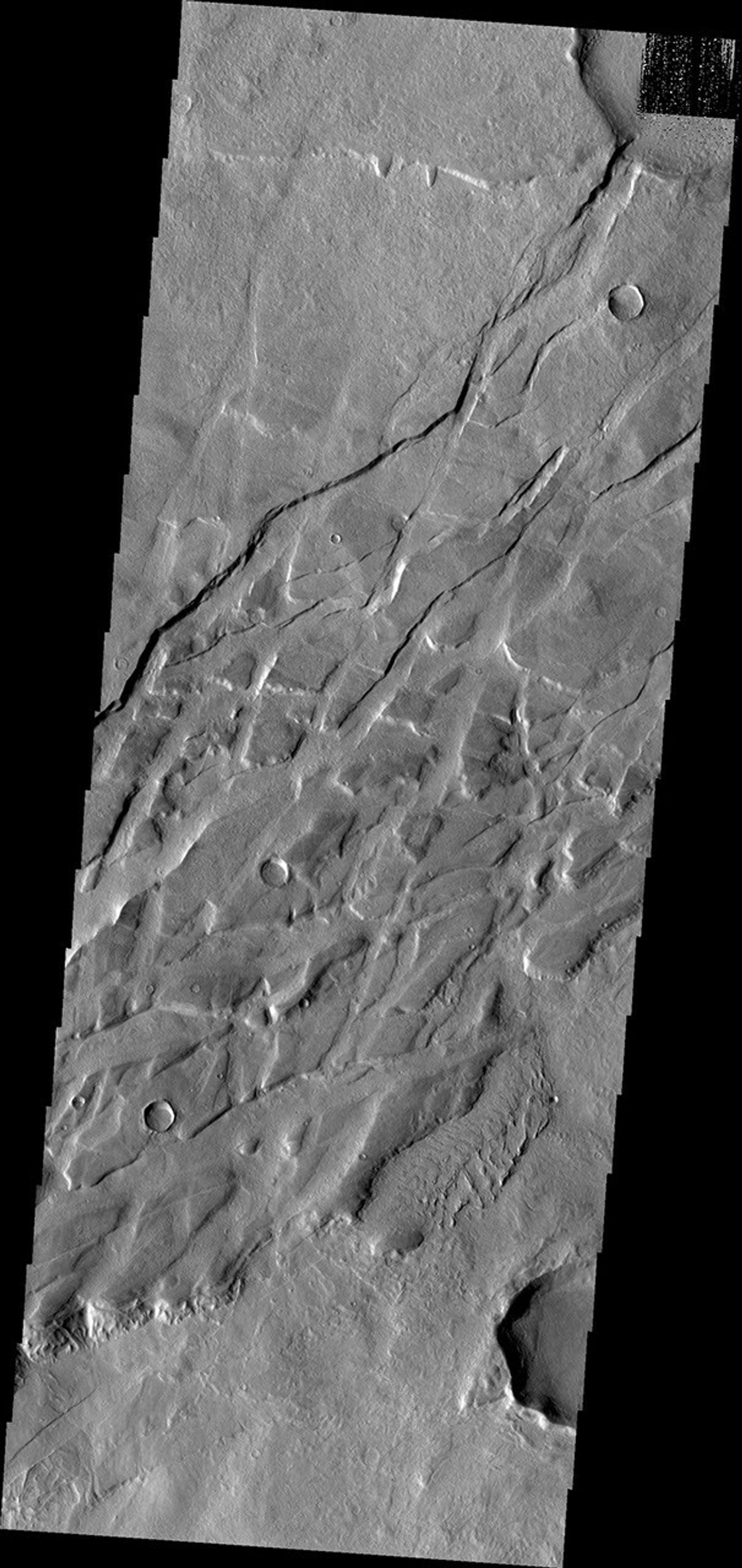 Tempe Terra is criss-crossed with numerous fracture systems. This image from NASA's Mars Odyssey shows a region where the fractures are intersecting,