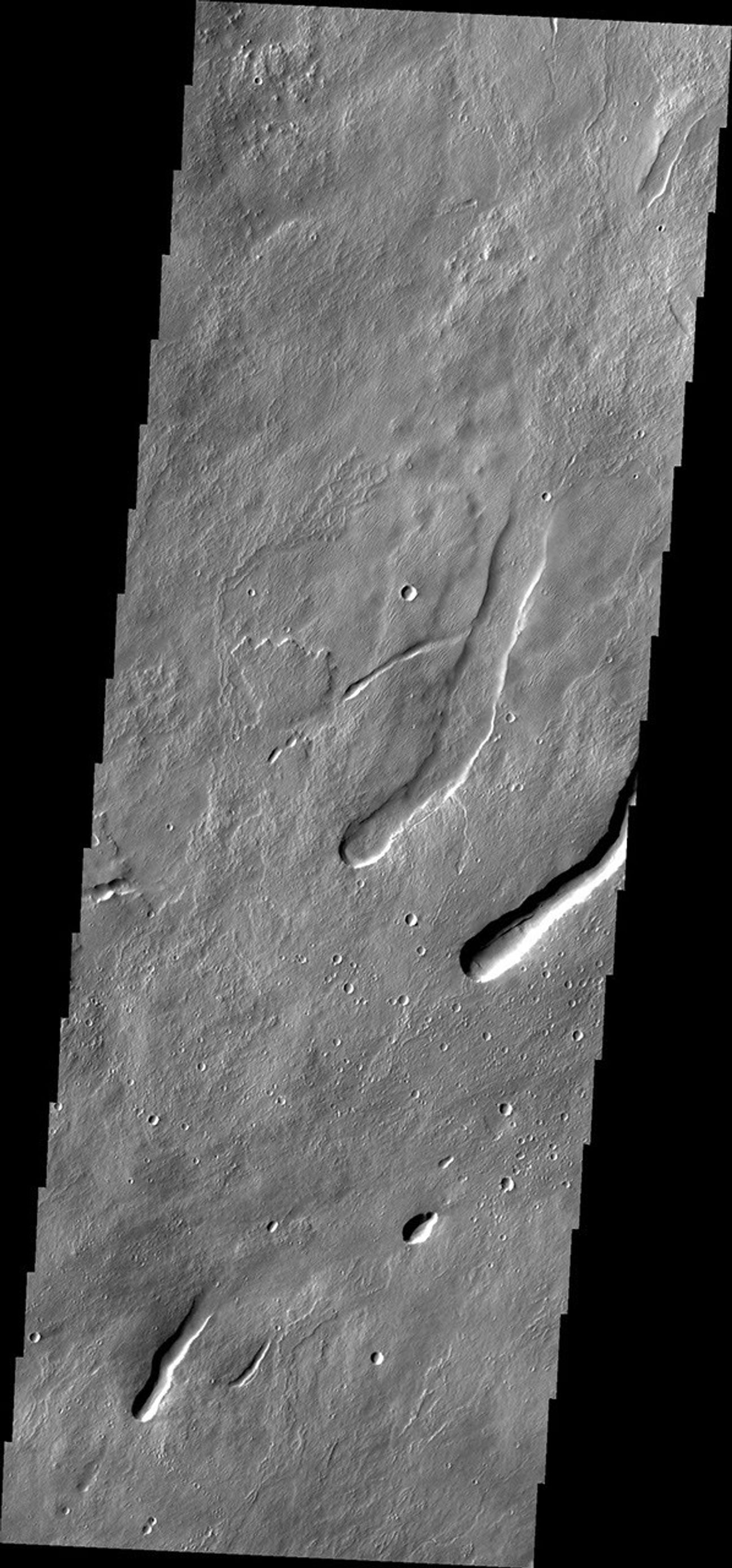 This image from NASA's Mars Odyssey caputured on July 23, 2010 off the northern flank of Arsia Mons shows collapse/vent features.