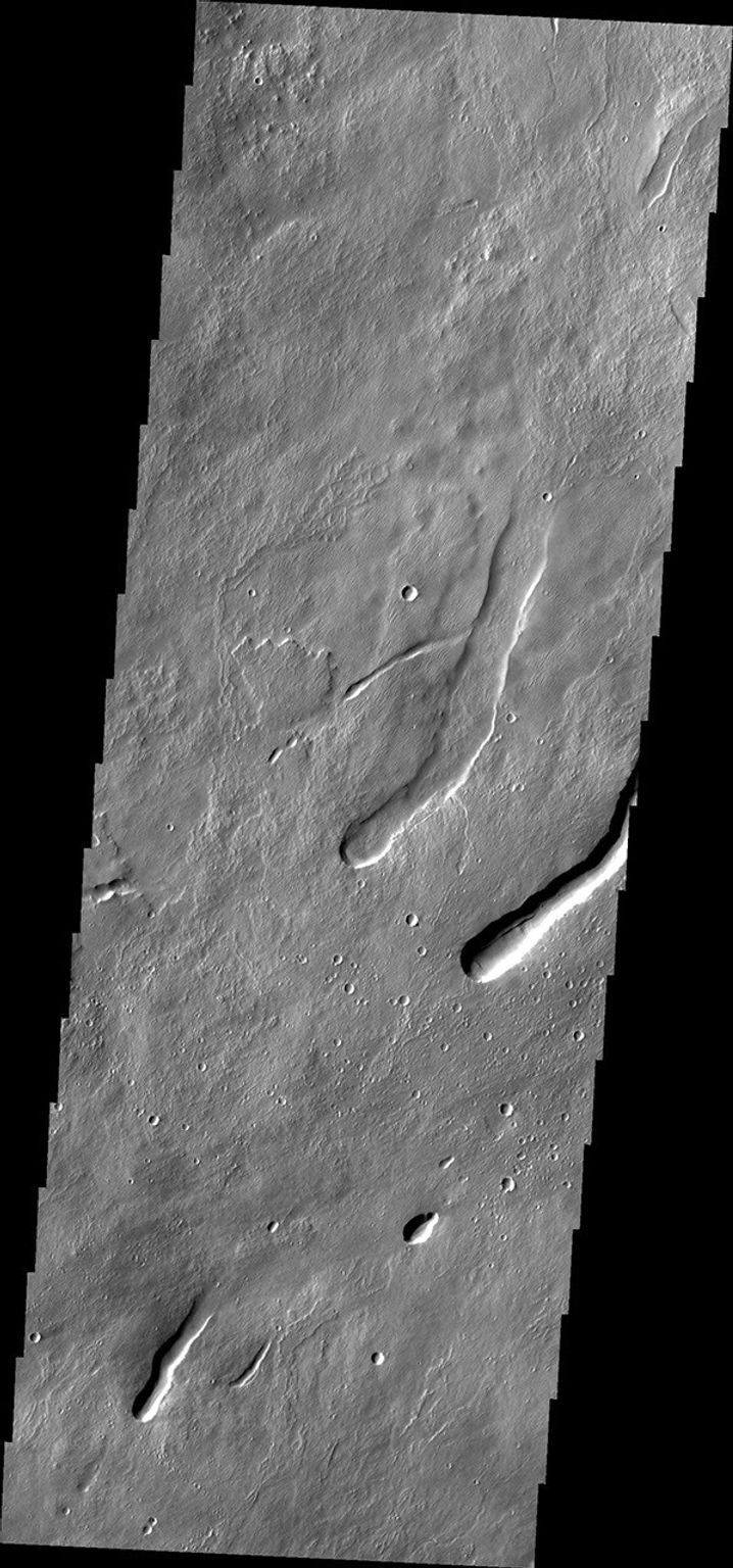 This image from NASA's Mars Odyssey caputured on July 23, 2010 off the northern flank of Arsia Mons shows collapse/vent features.