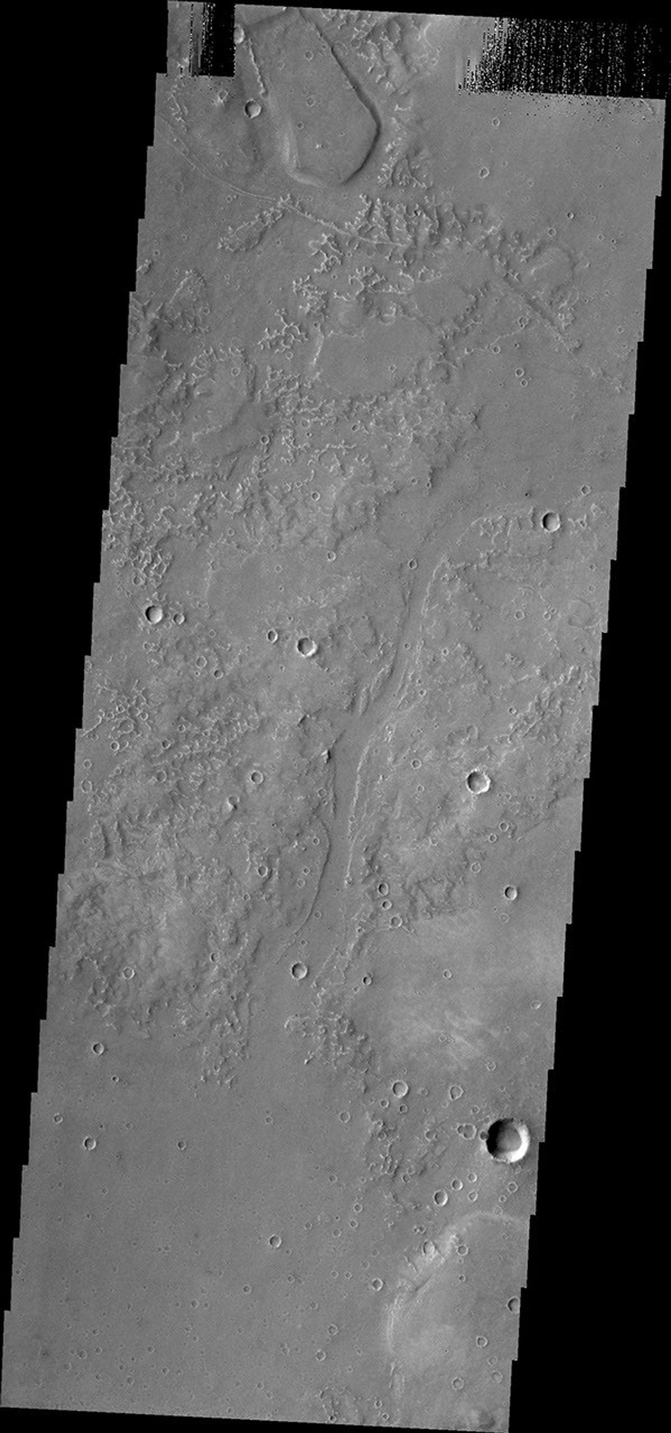 The small channels in this image of Utopia Planitia are south of Granicus Valles were captured by NASA's Mars Odyssey on July 23, 2010.