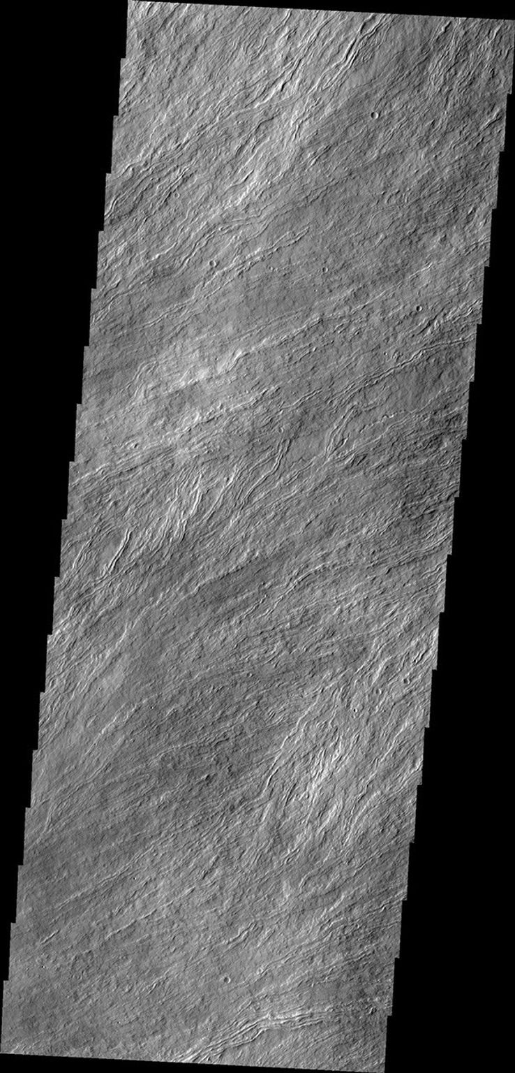 Many surface lava flows on the flanks of Olympus Mons are confined to narrow channels, like the ones in today's image from NASA's Mars Odyssey.
