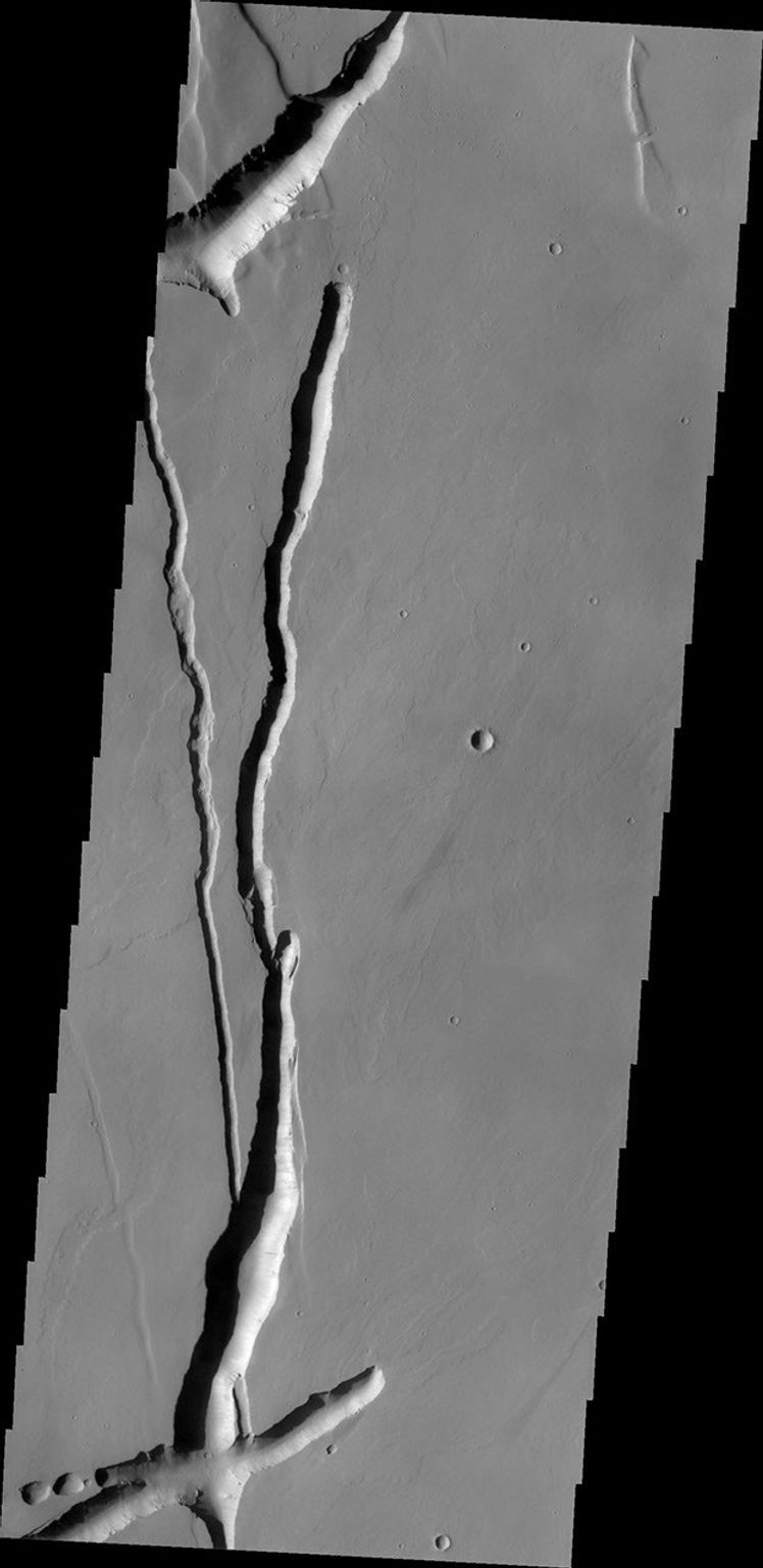 The depressions in this image from NASA's Mars Odyssey likely formed due to both volcanic and tectonic forces. Tectonic forces likely account for some of the depressions, while collapse into lava tubes and lava flow erosion account for the remainder.
