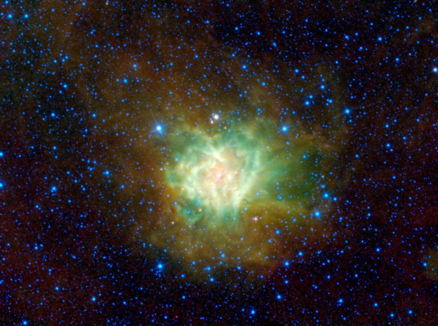 The aptly named Cocoon nebula is featured in this image from NASA's Wide-field Infrared Survey Explorer. This cloud of dust and gas is located in the constellation Cygnus, and is wrapped in a dark cloud of dust called Barnard 168.